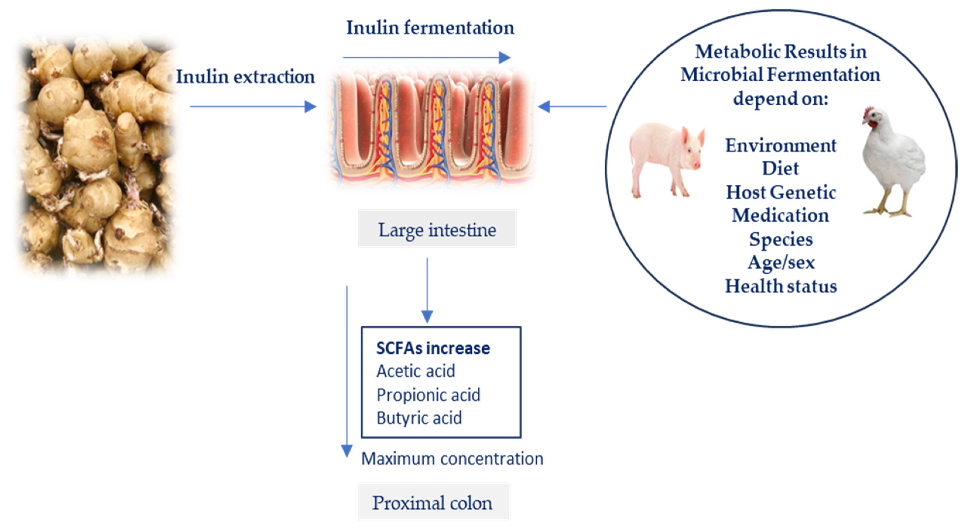 Applsci 13 12748 g003 Applsci 13 12748 g003