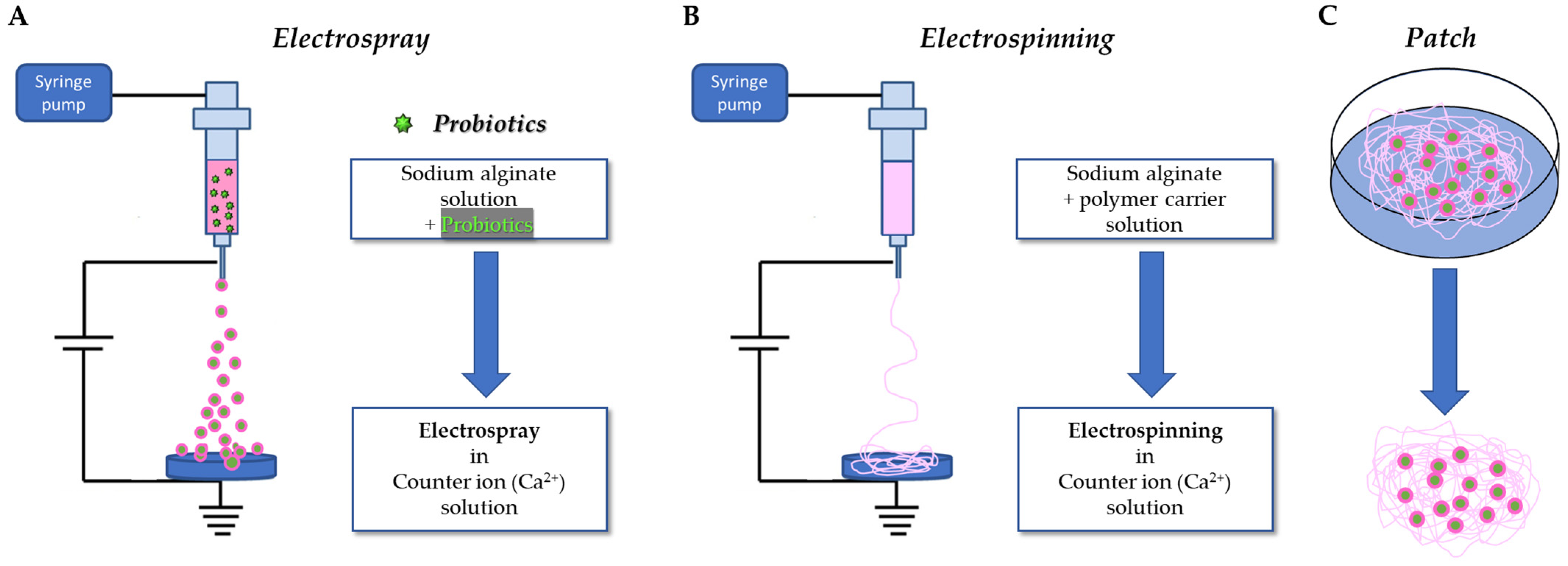 Applsci 13 12750 g001