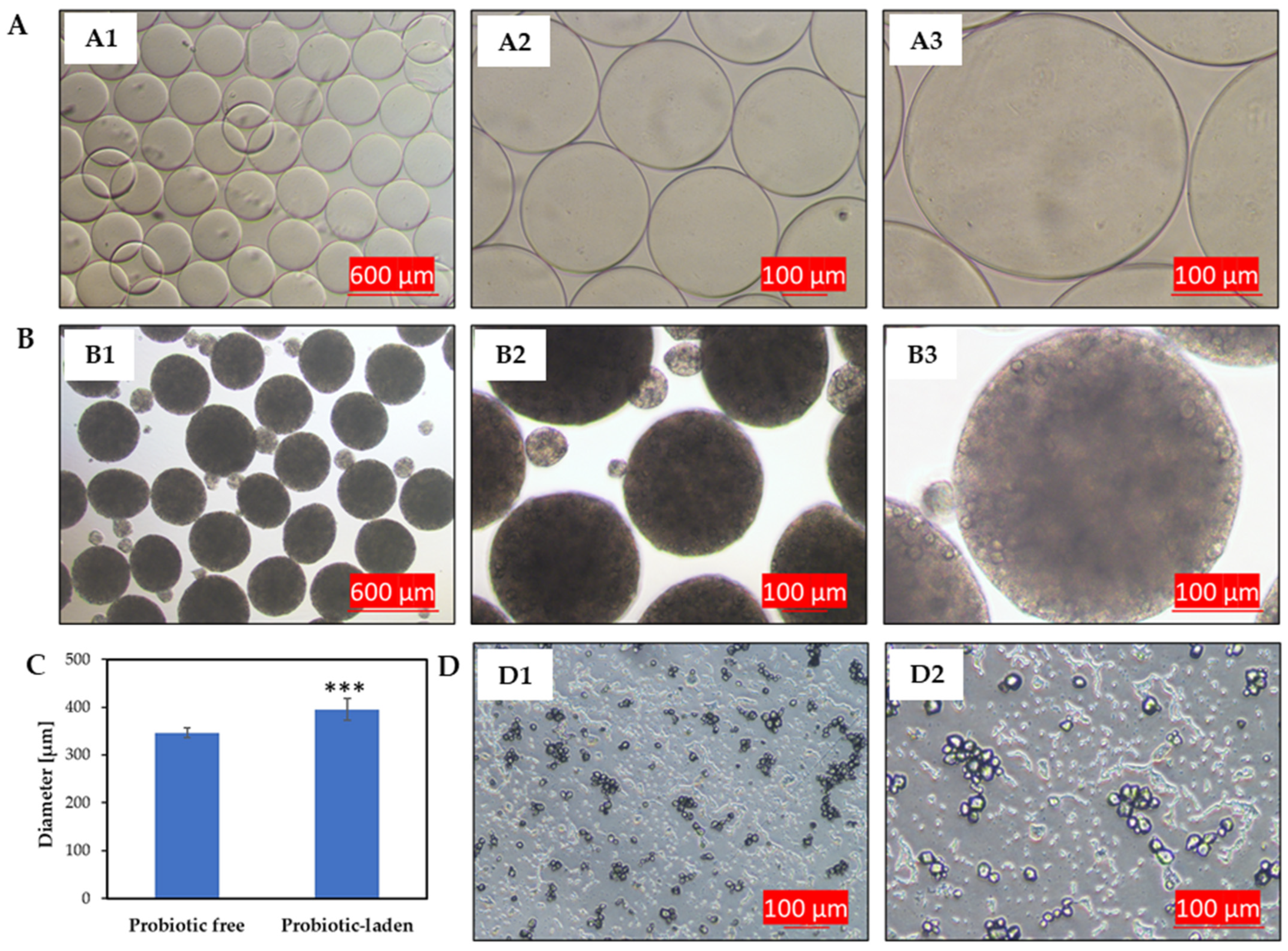 Applsci 13 12750 g003