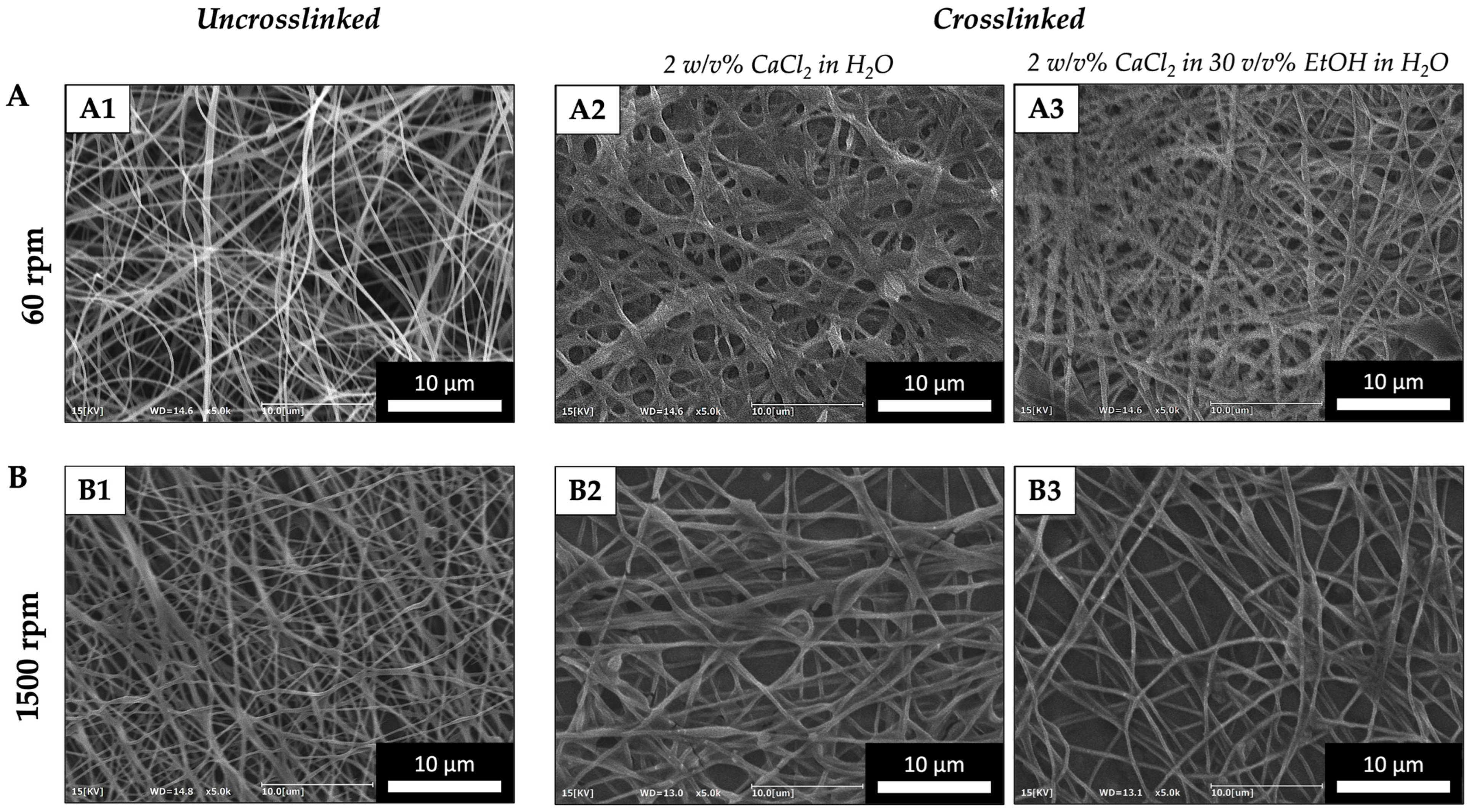 Applsci 13 12750 g005