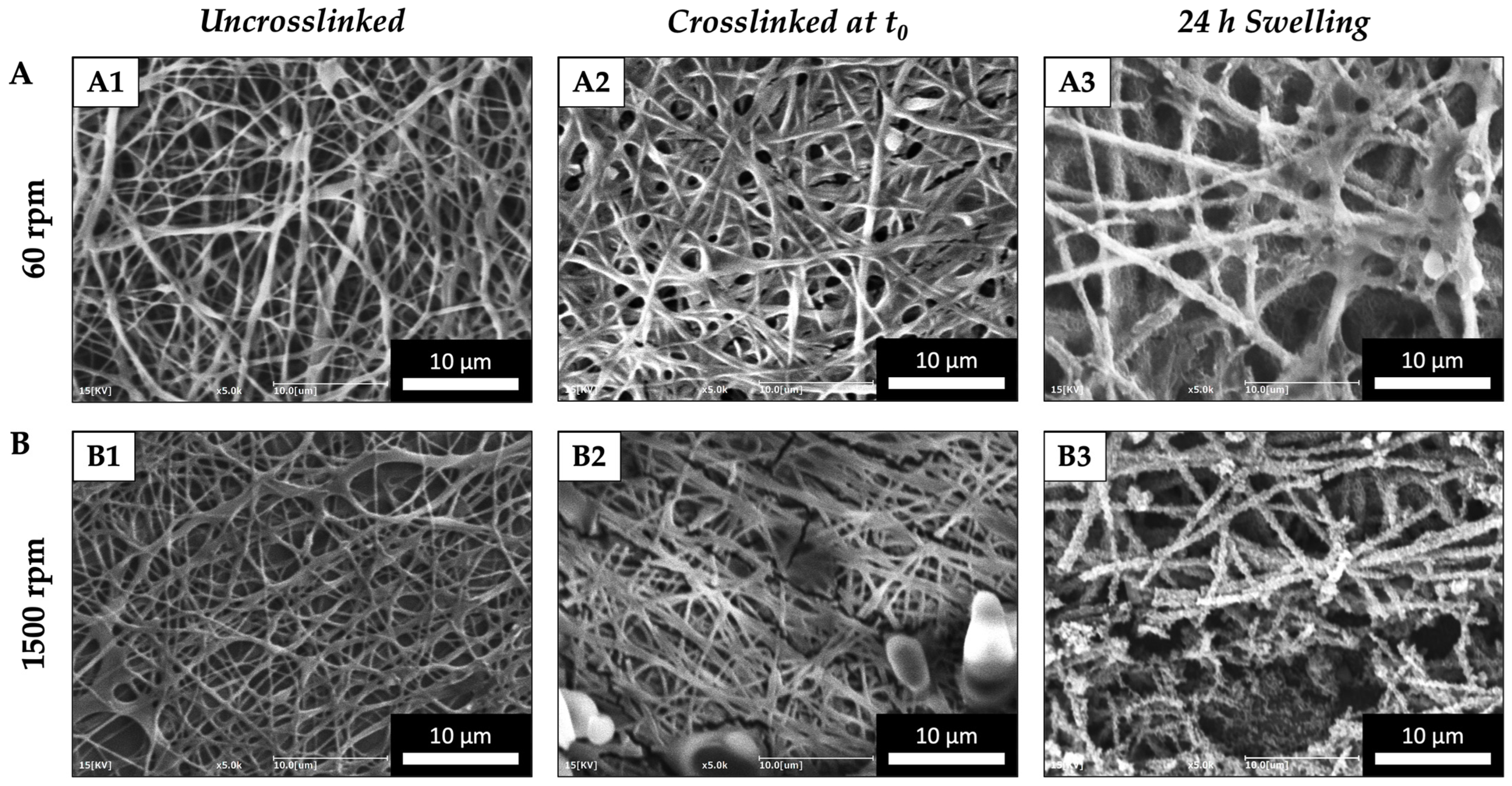 Applsci 13 12750 g006