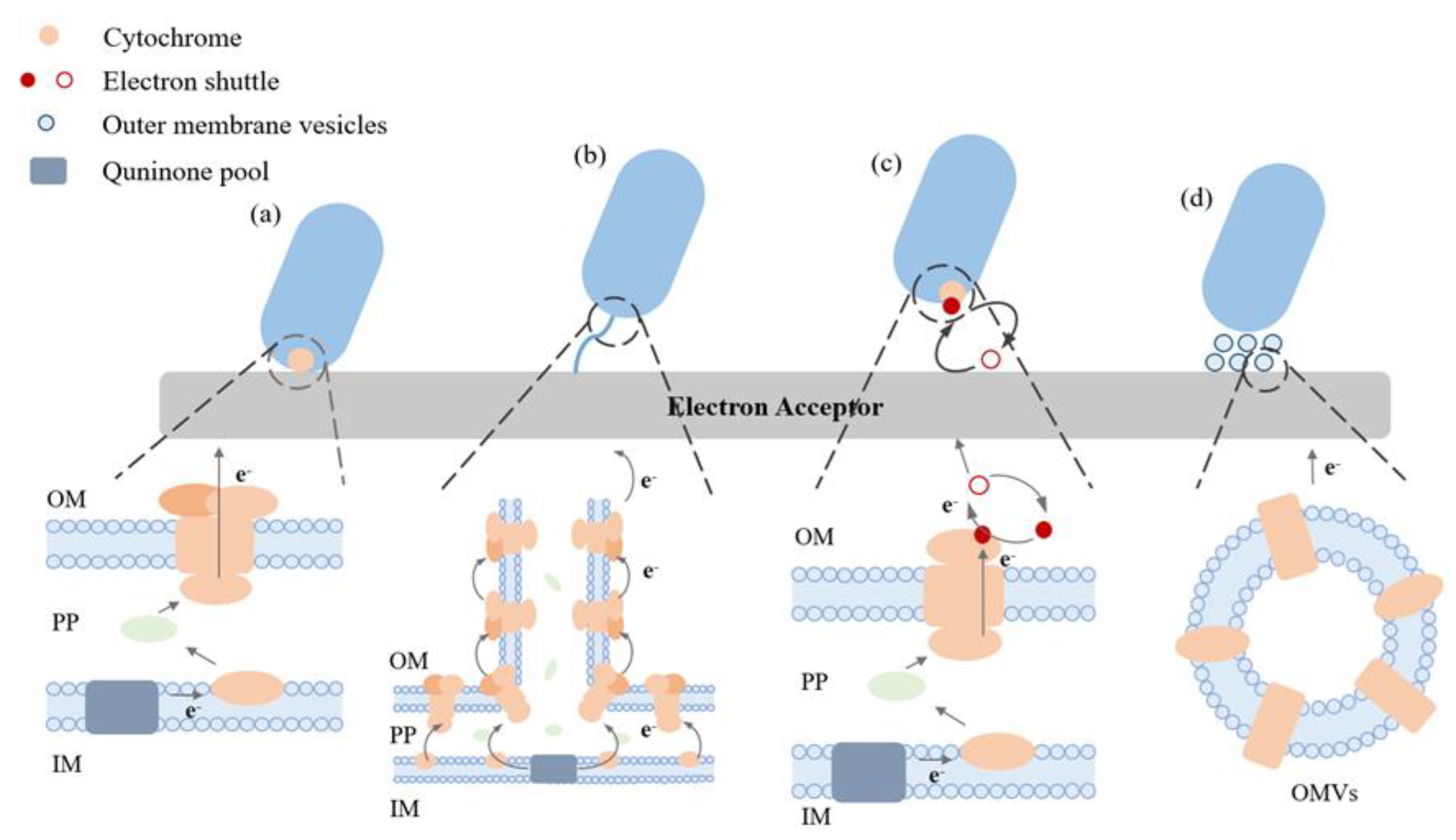 Applsci 13 12760 g001 Applsci 13 12760 g001
