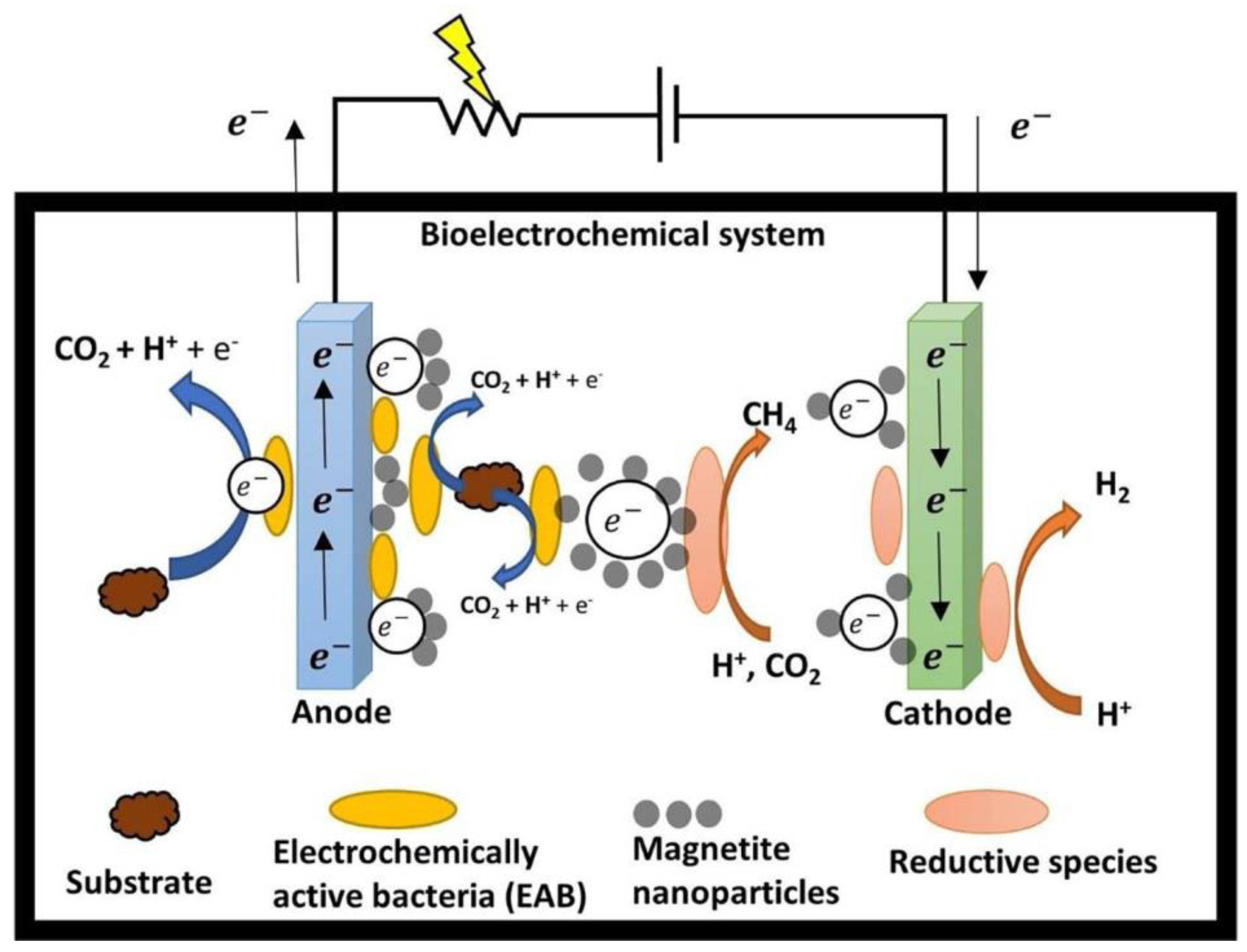 Applsci 13 12760 g004 Applsci 13 12760 g004