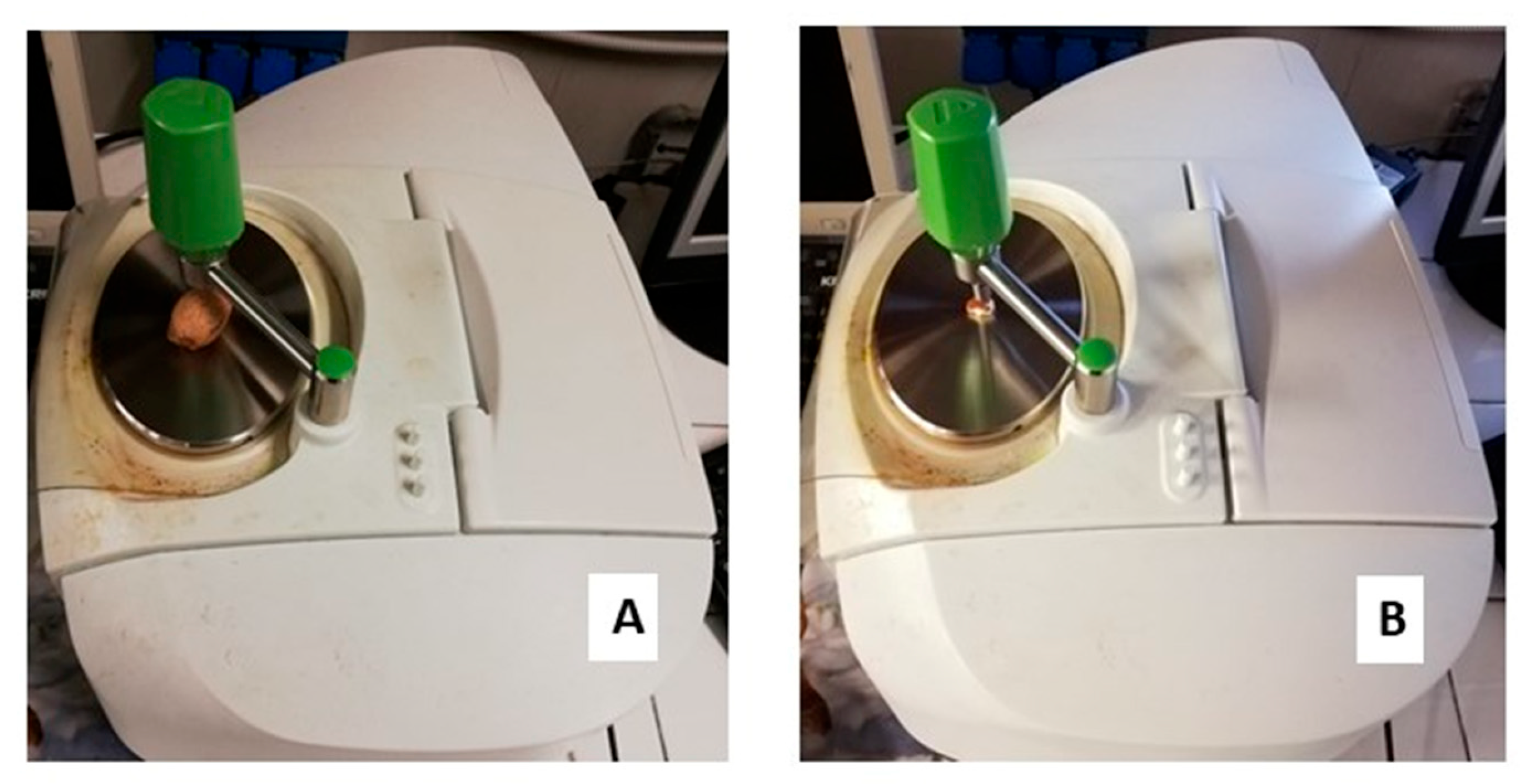 Applsci 13 12765 g001