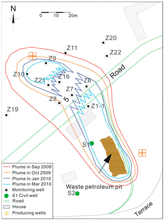 2024年のクリスマス Mass Organic of Assessment Quantitative Fluxes Natural and ダーツ