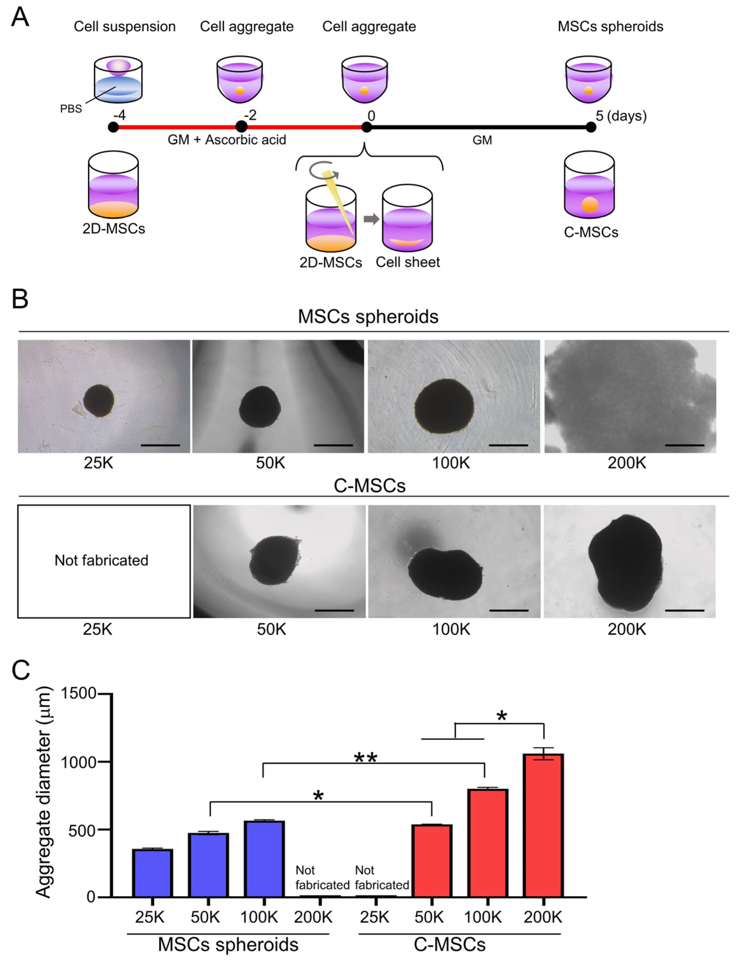 Applsci 13 12790 g001