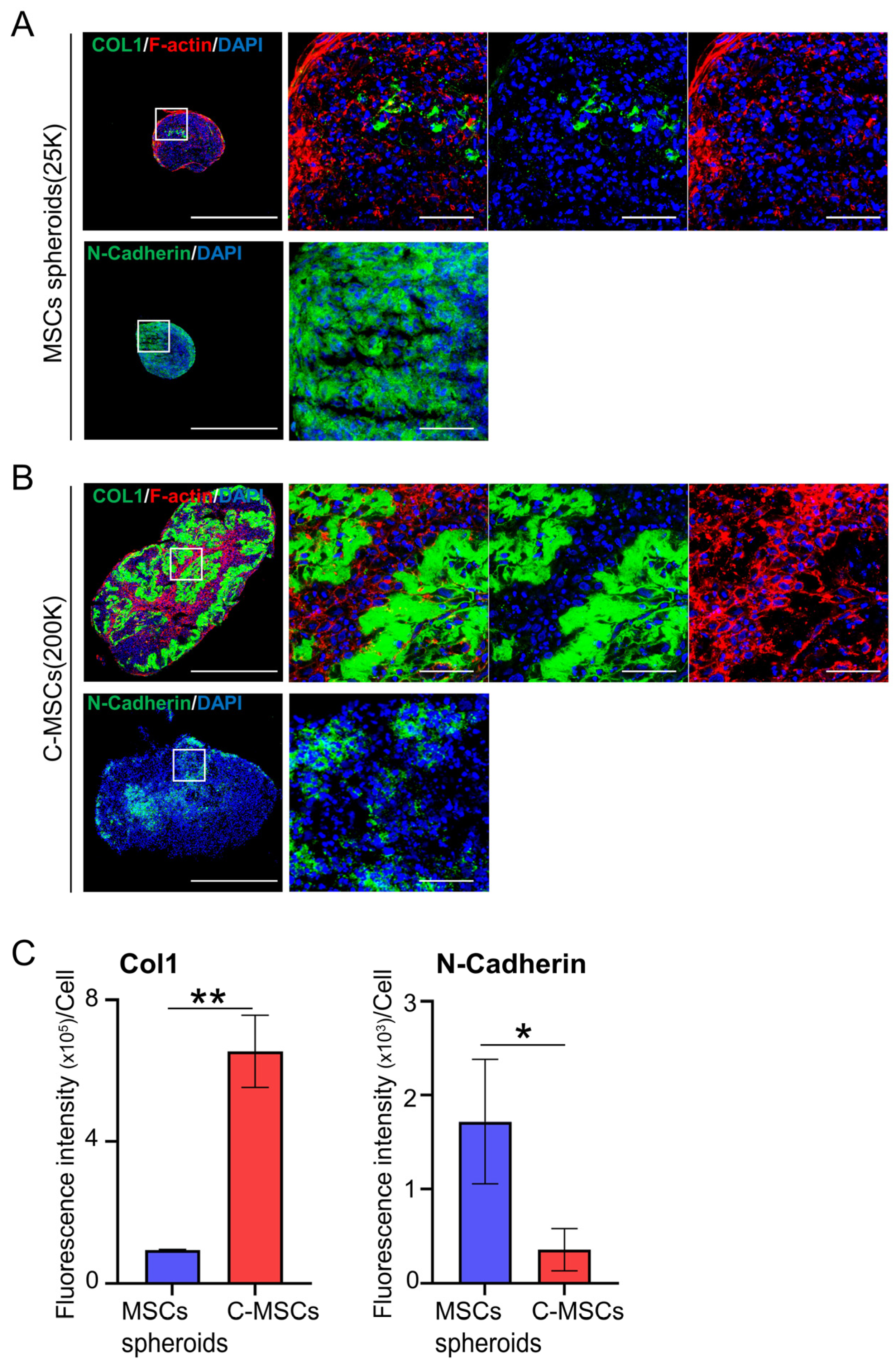 Applsci 13 12790 g003