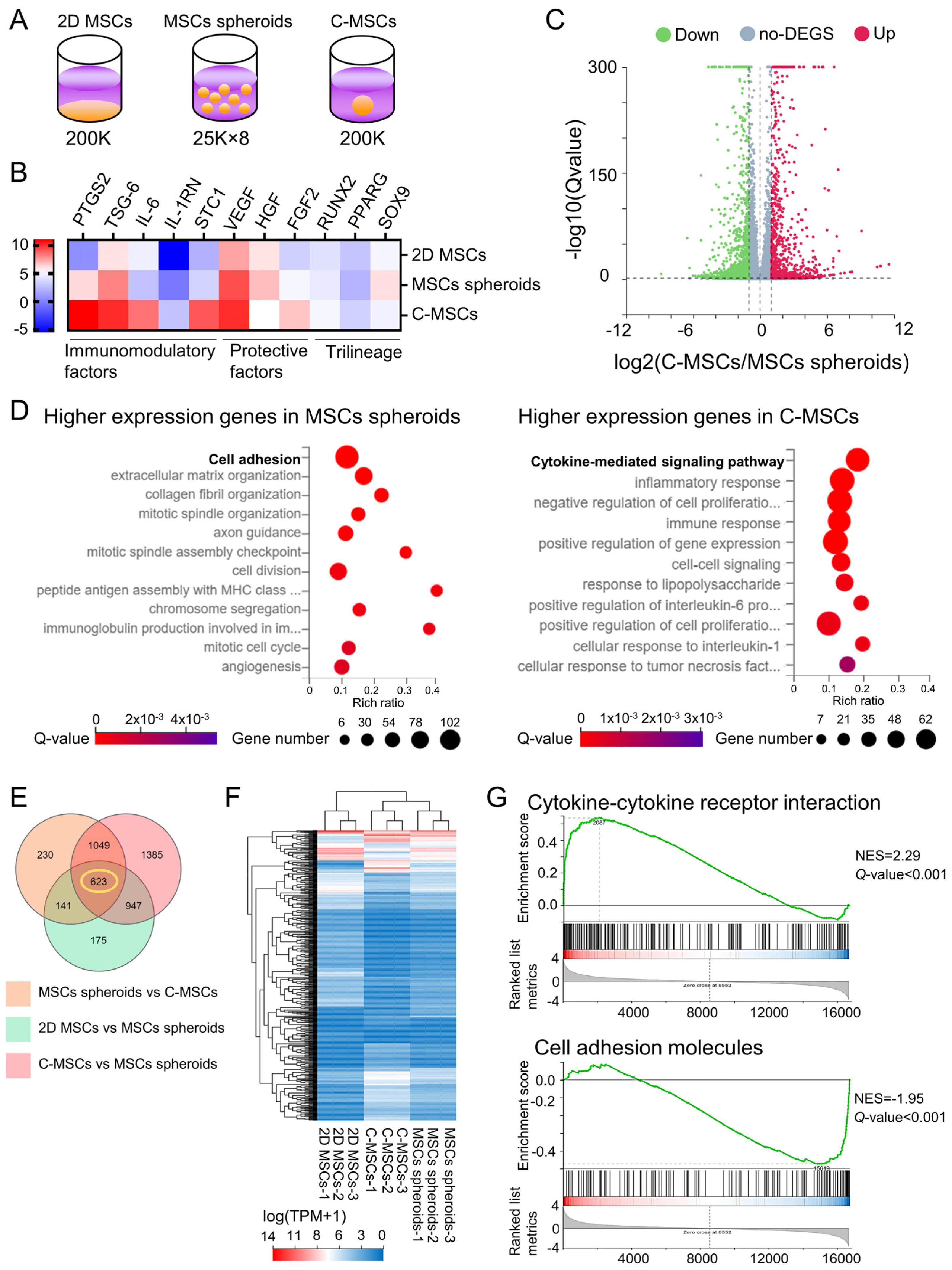 Applsci 13 12790 g004