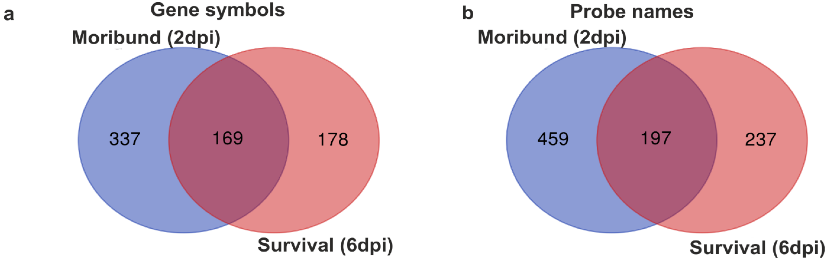Applsci 13 12793 g004 Applsci 13 12793 g004
