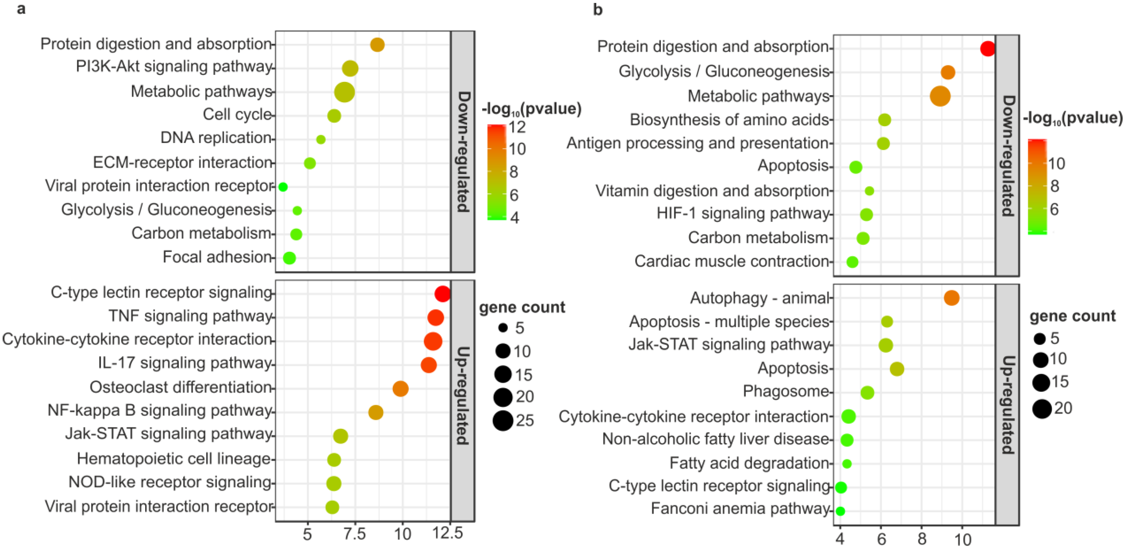 Applsci 13 12793 g005 Applsci 13 12793 g005
