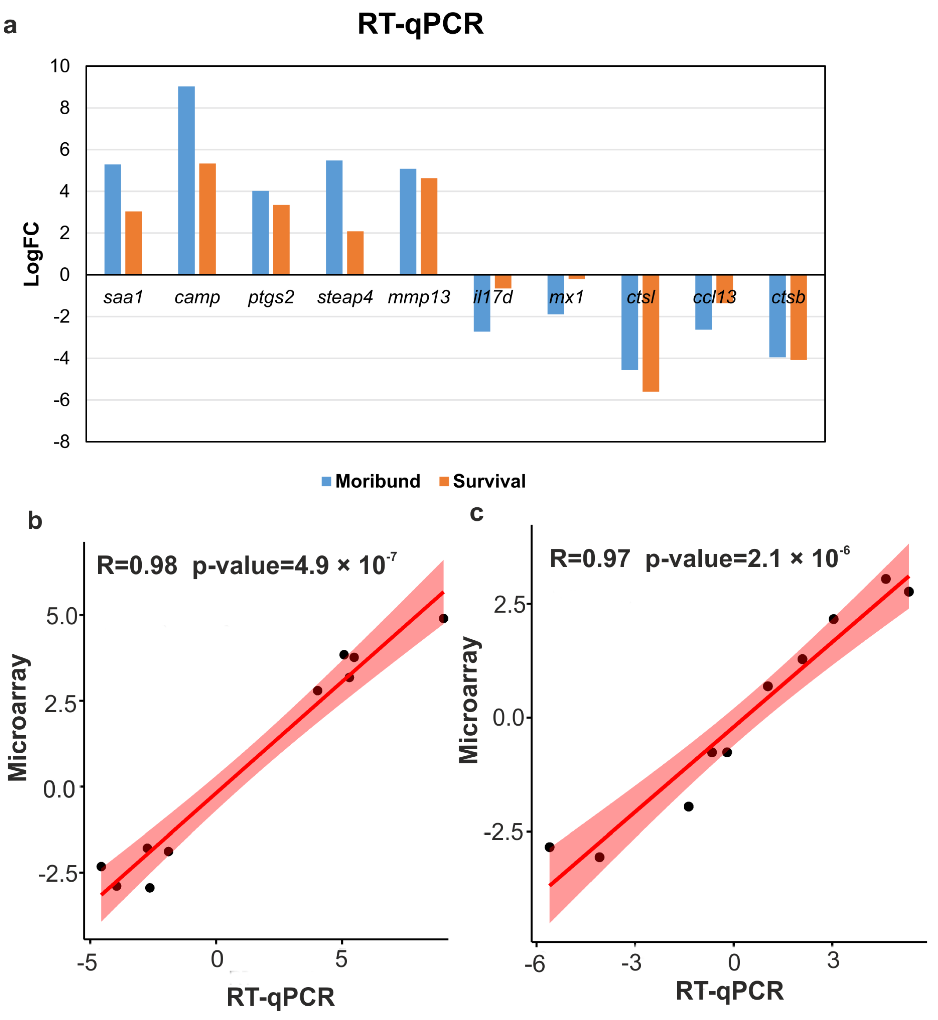 Applsci 13 12793 g008 Applsci 13 12793 g008