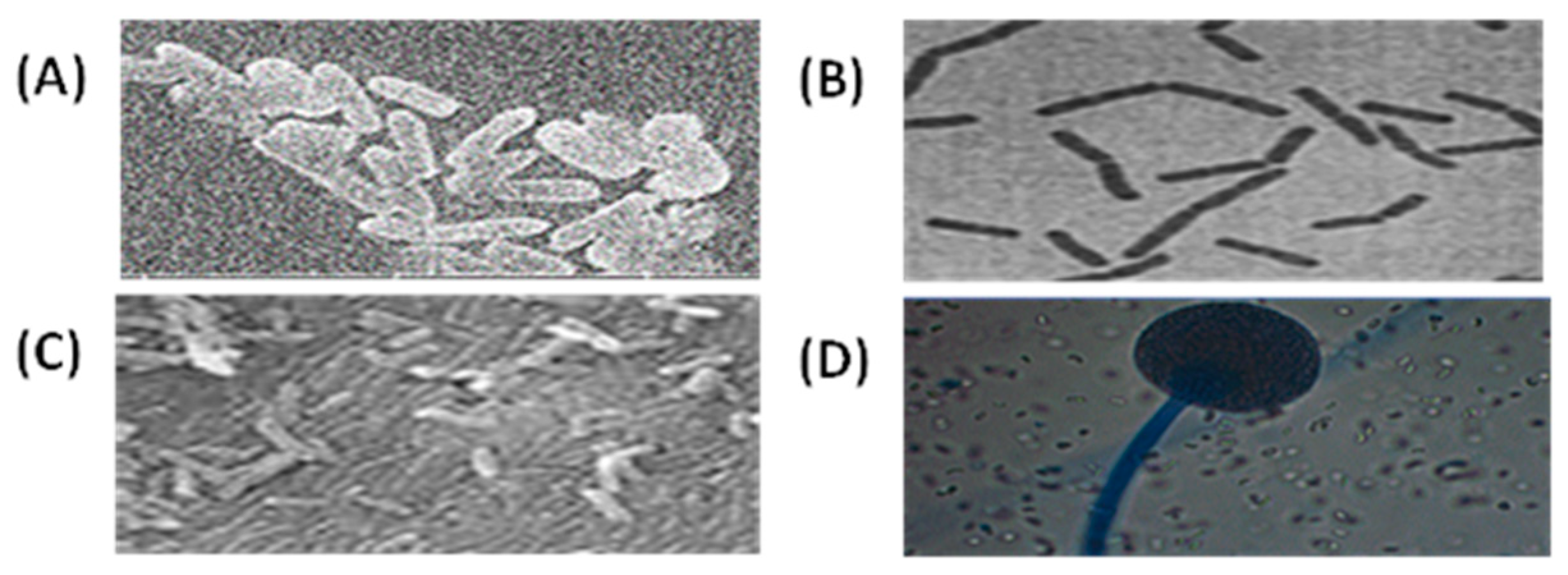 Applied Sciences Free FullText Identification of Previously
