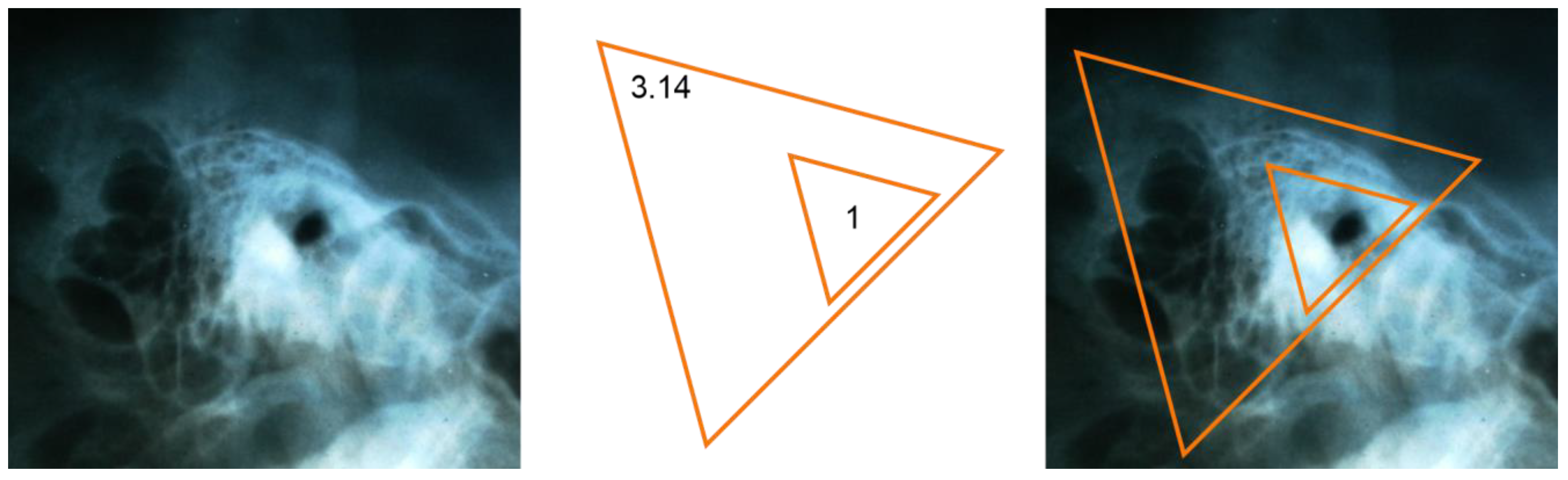 Applsci 13 12861 g011