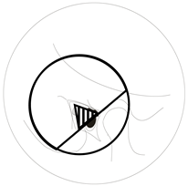 Applsci 13 12861 i007