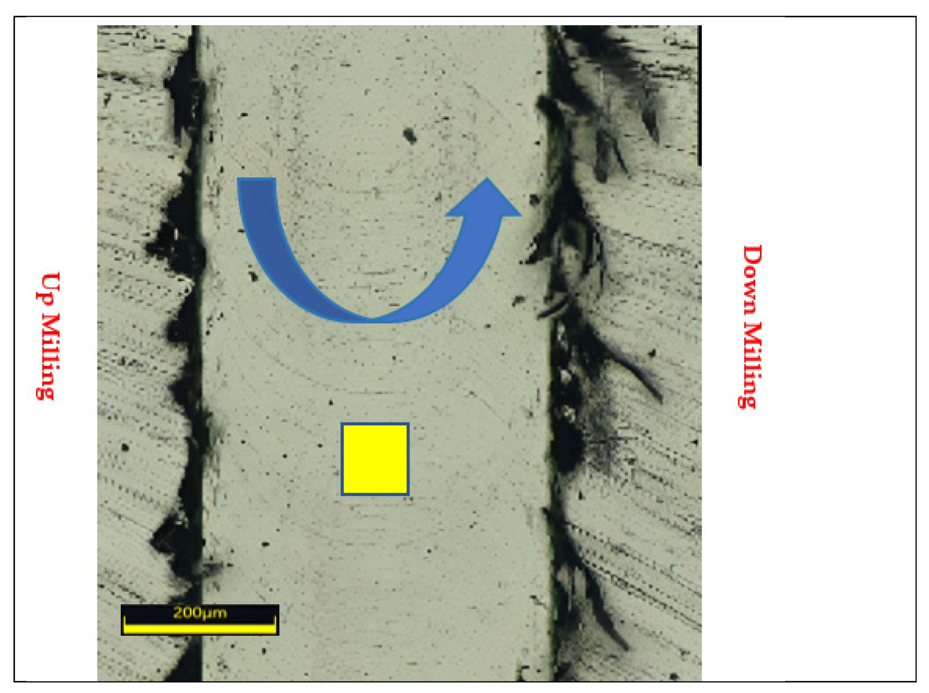 Applsci 13 12875 g001