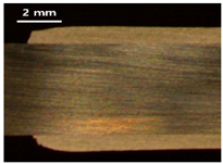 Applsci 13 12881 i010