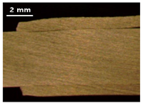 Applsci 13 12881 i013