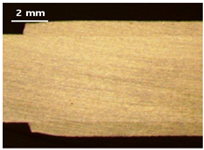 Applsci 13 12881 i022