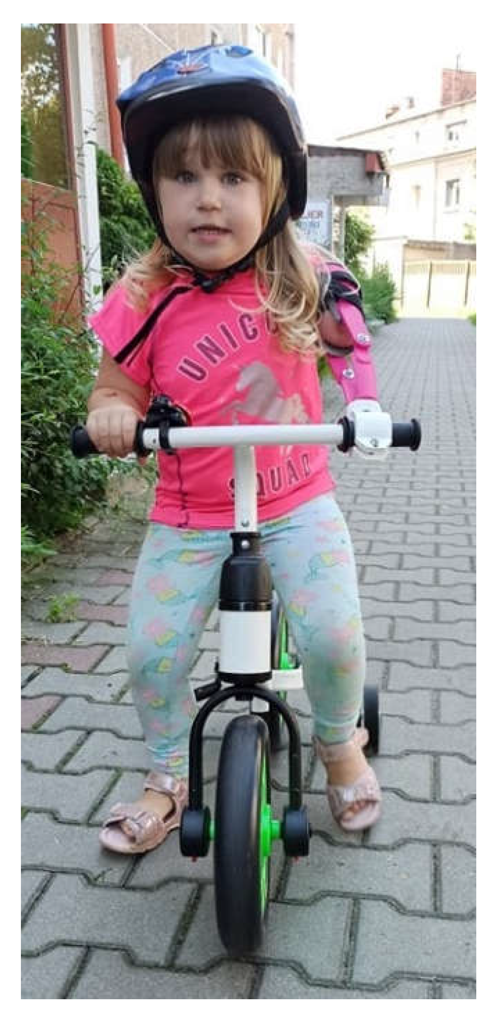 Applsci 13 12918 g001