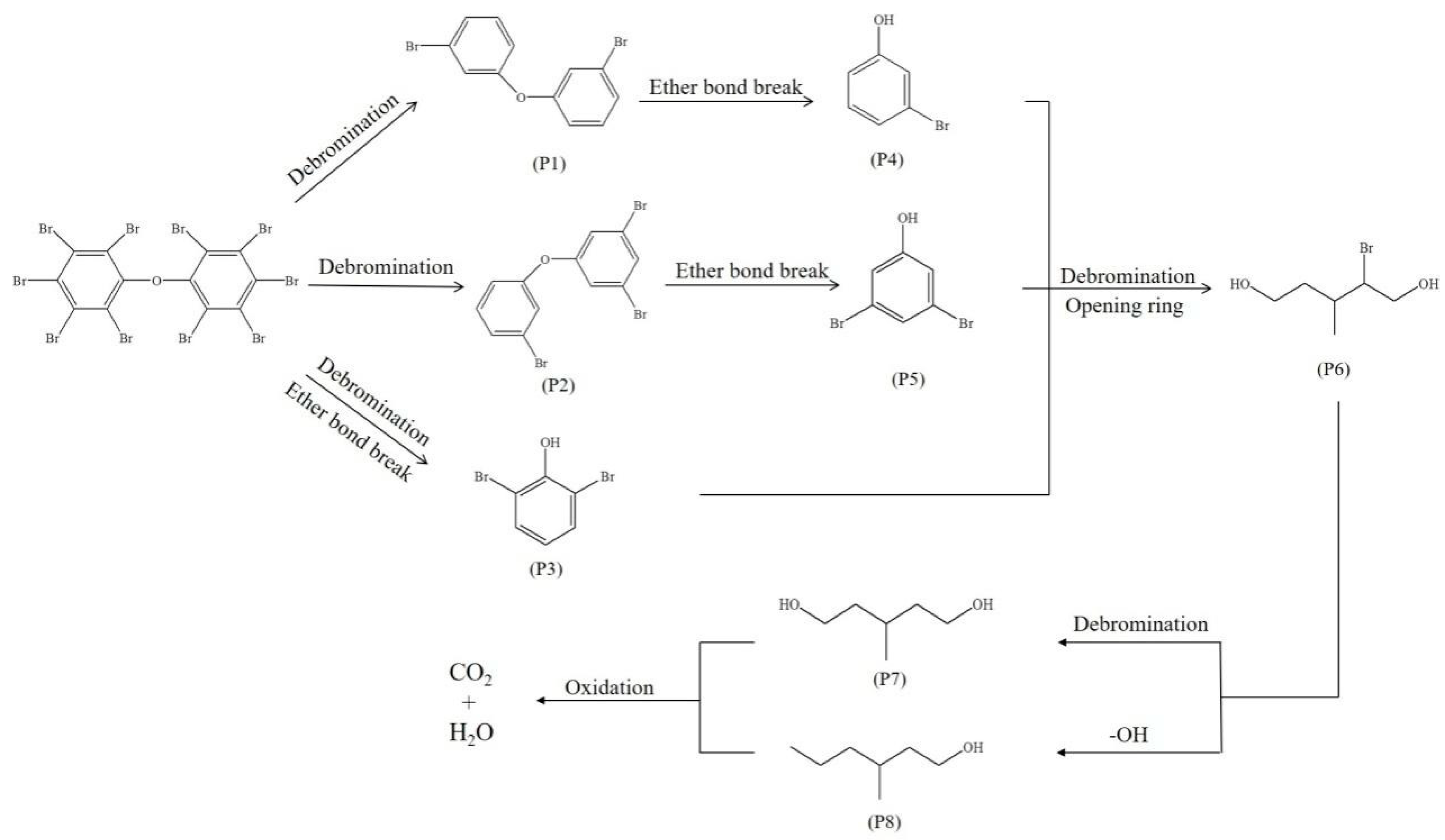 Applsci 13 12924 g007
