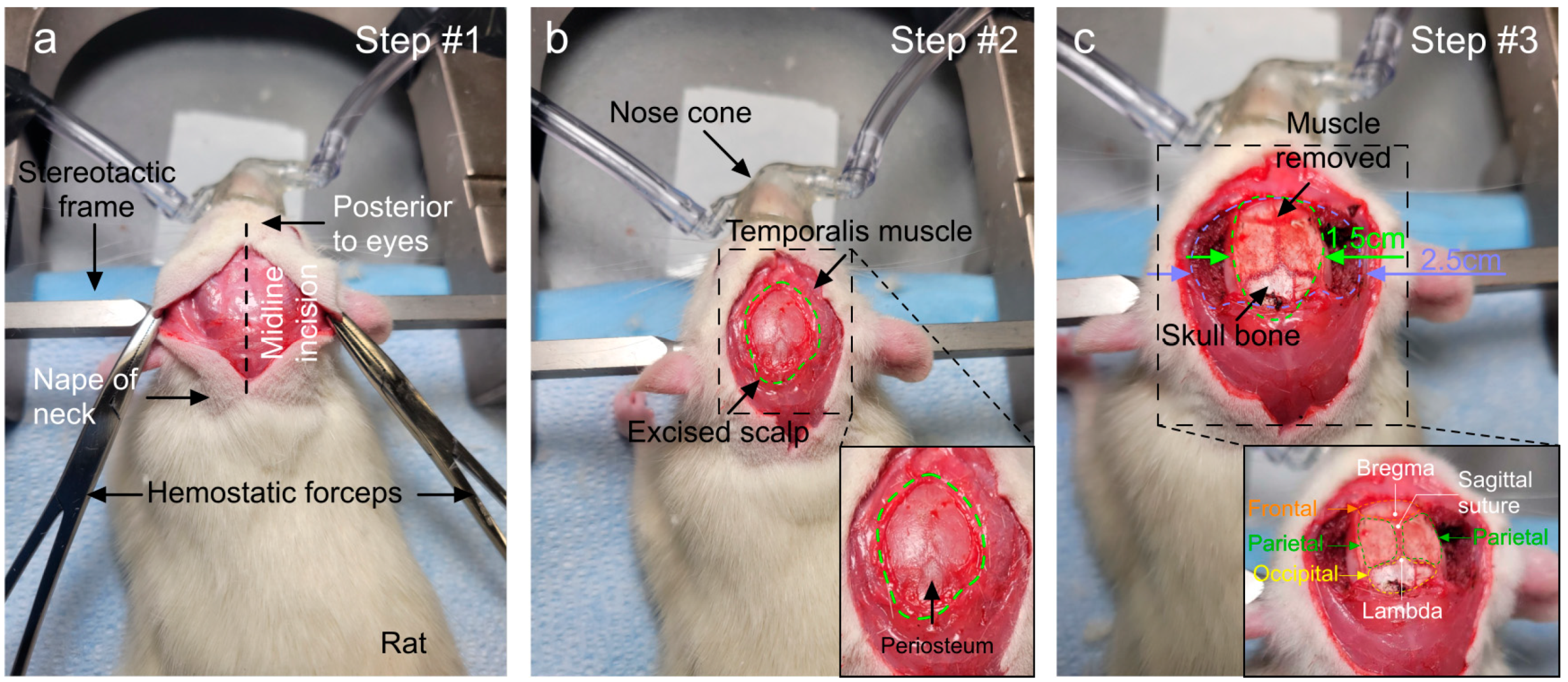 Applsci 13 12951 g002