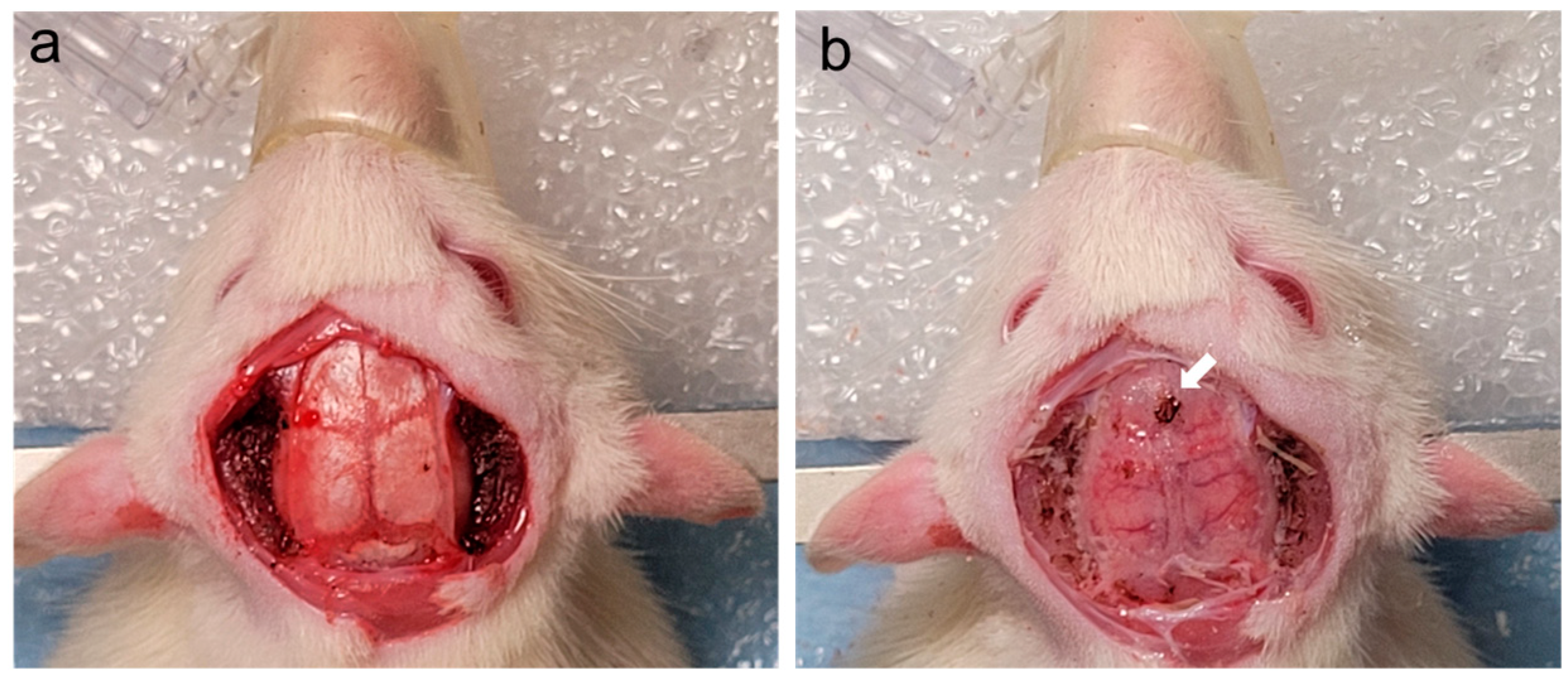 Applsci 13 12951 g003