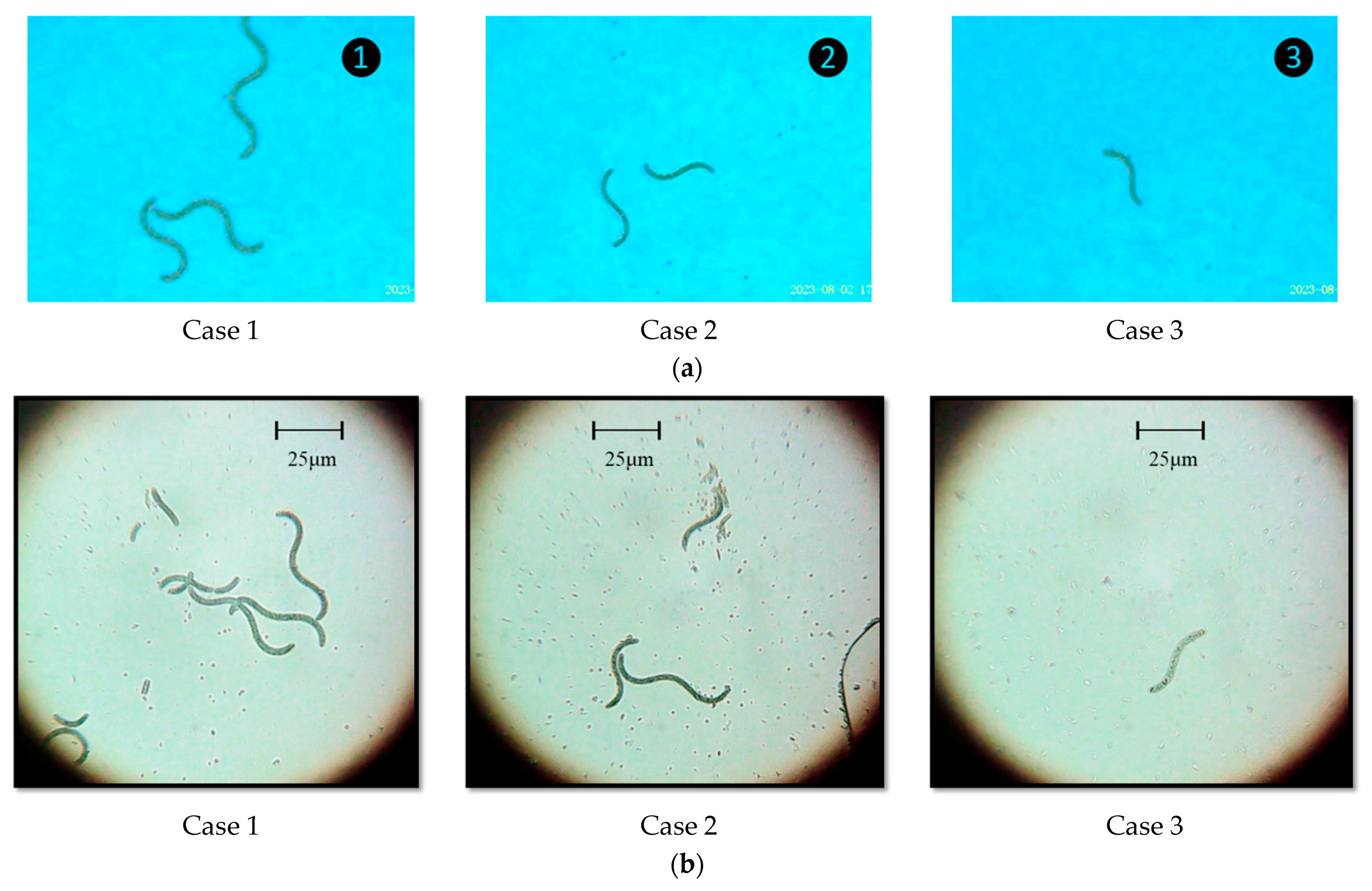 Applsci 13 12991 g008