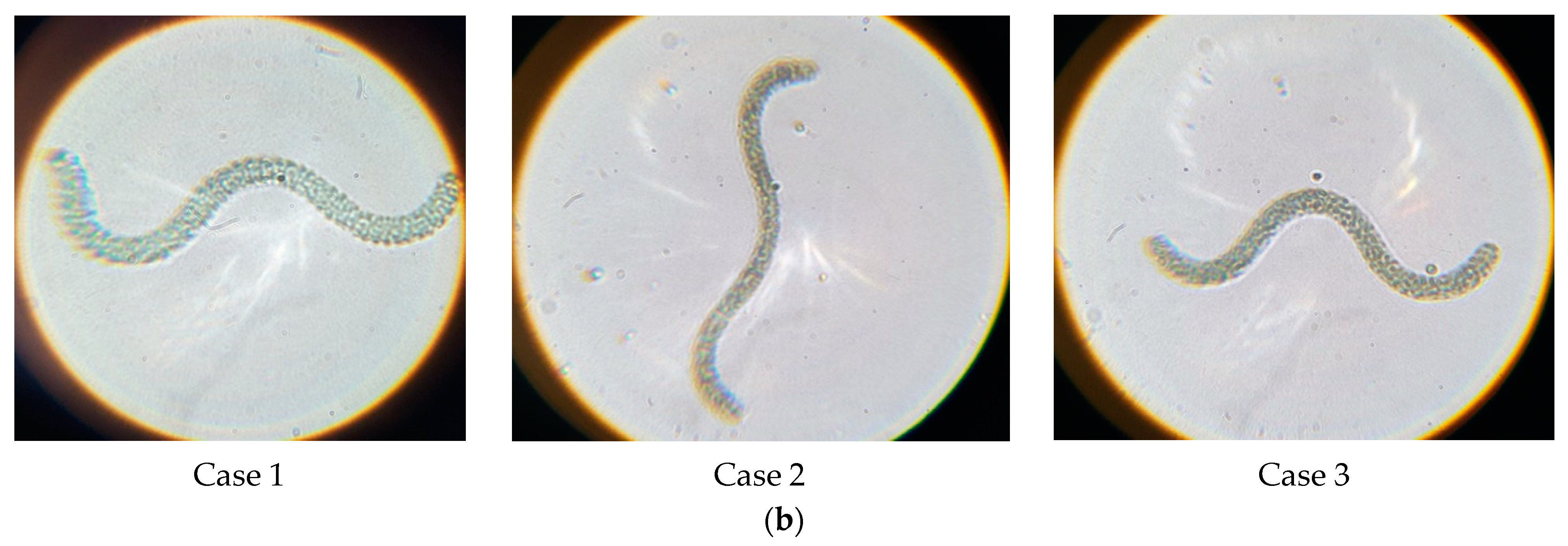 Applsci 13 12991 g009b