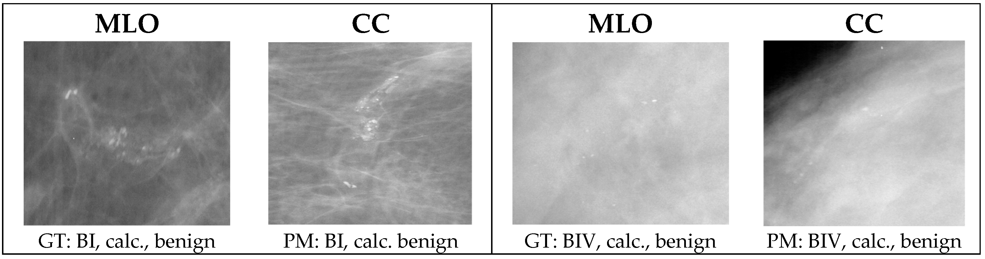 Applsci 13 12995 g008a