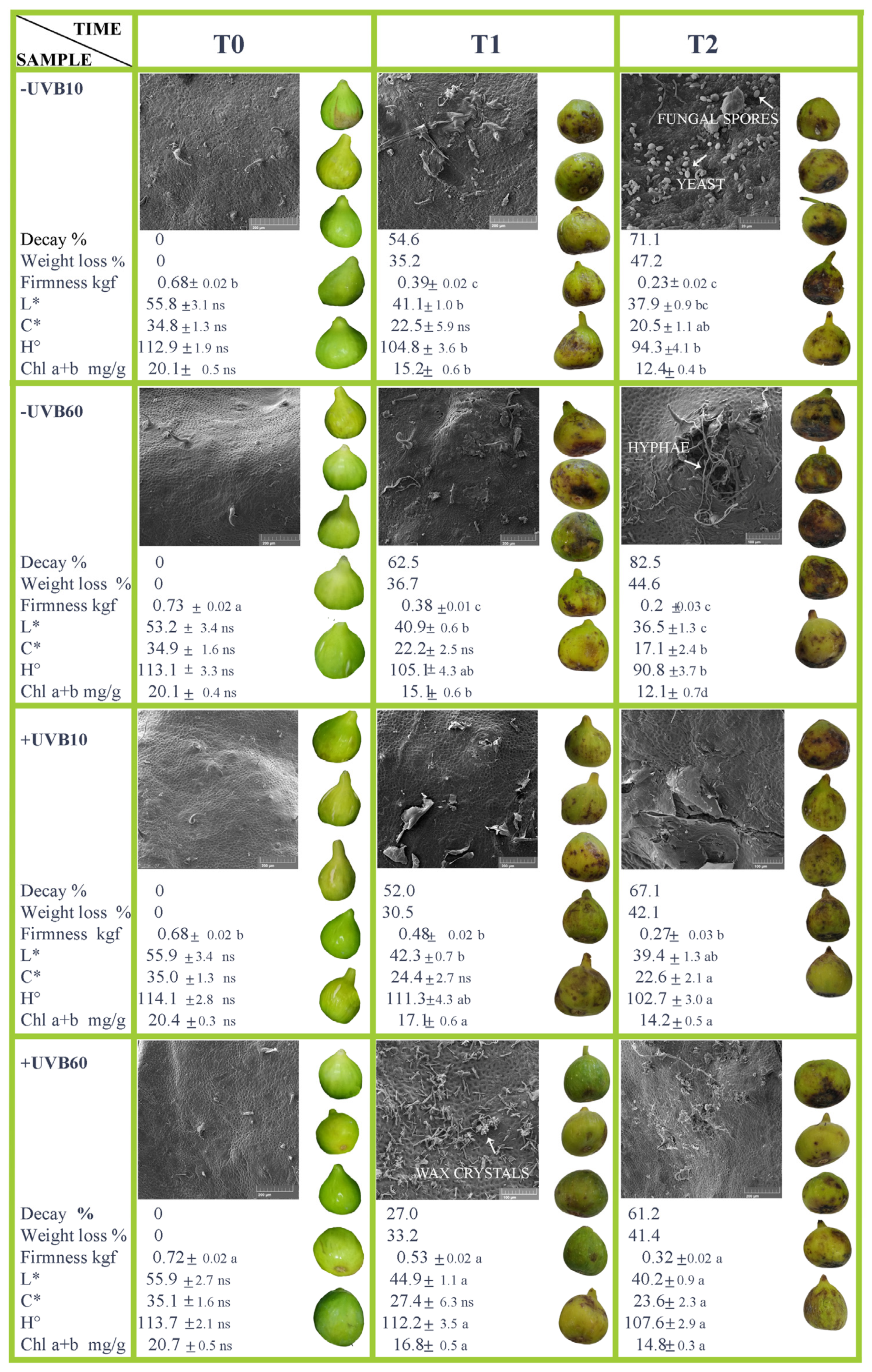 Applsci 13 13003 g002