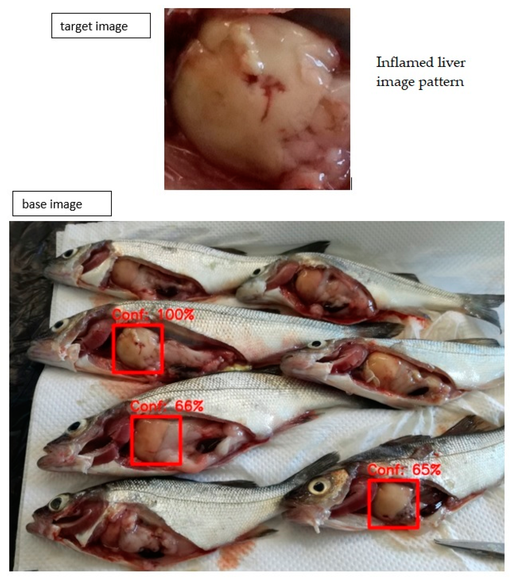 Applsci 13 13059 g006