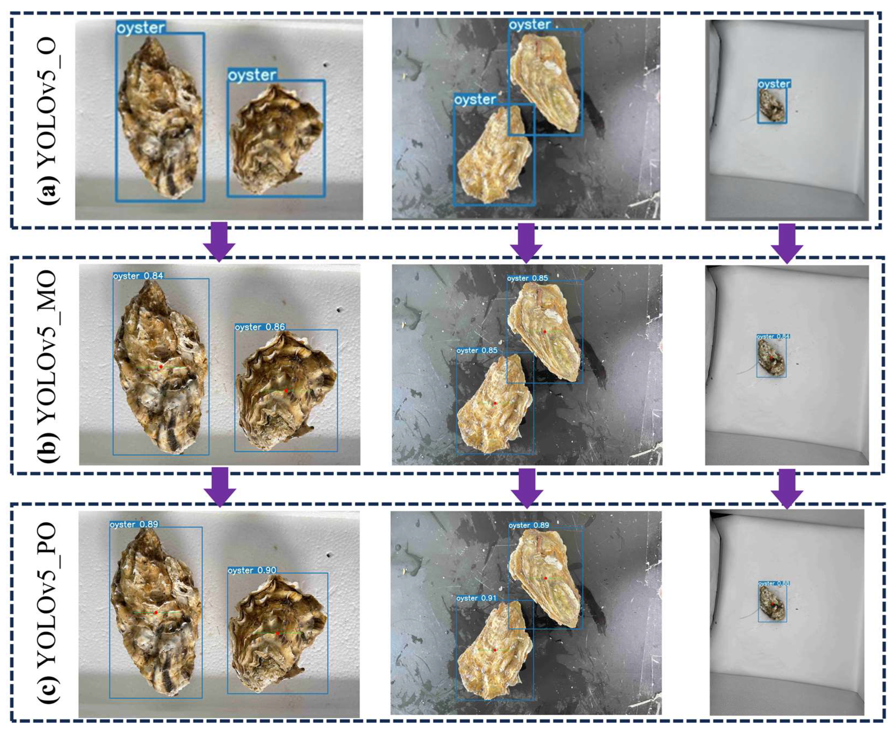 Applsci 13 13105 g005