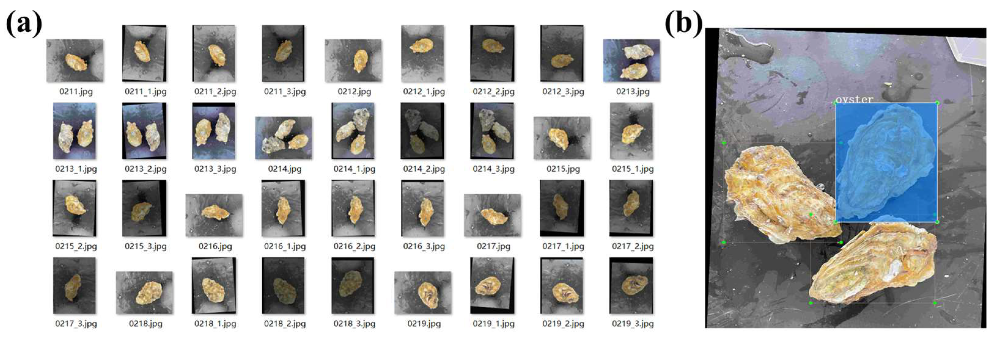 Applsci 13 13105 g009