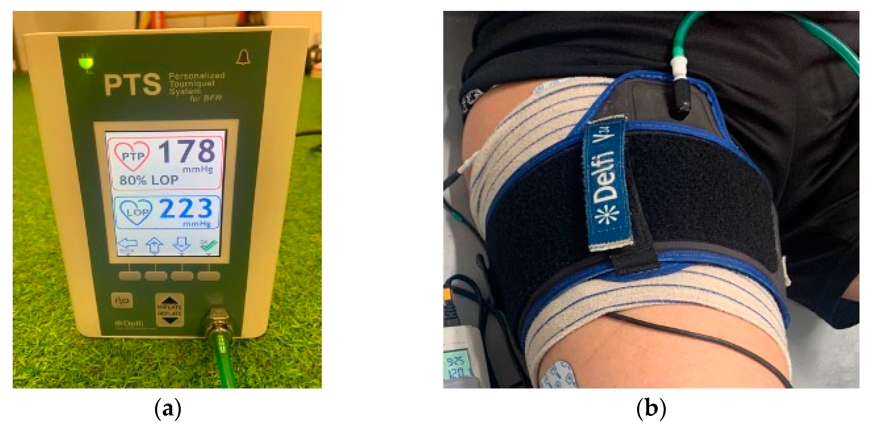 Applsci 13 13131 g002