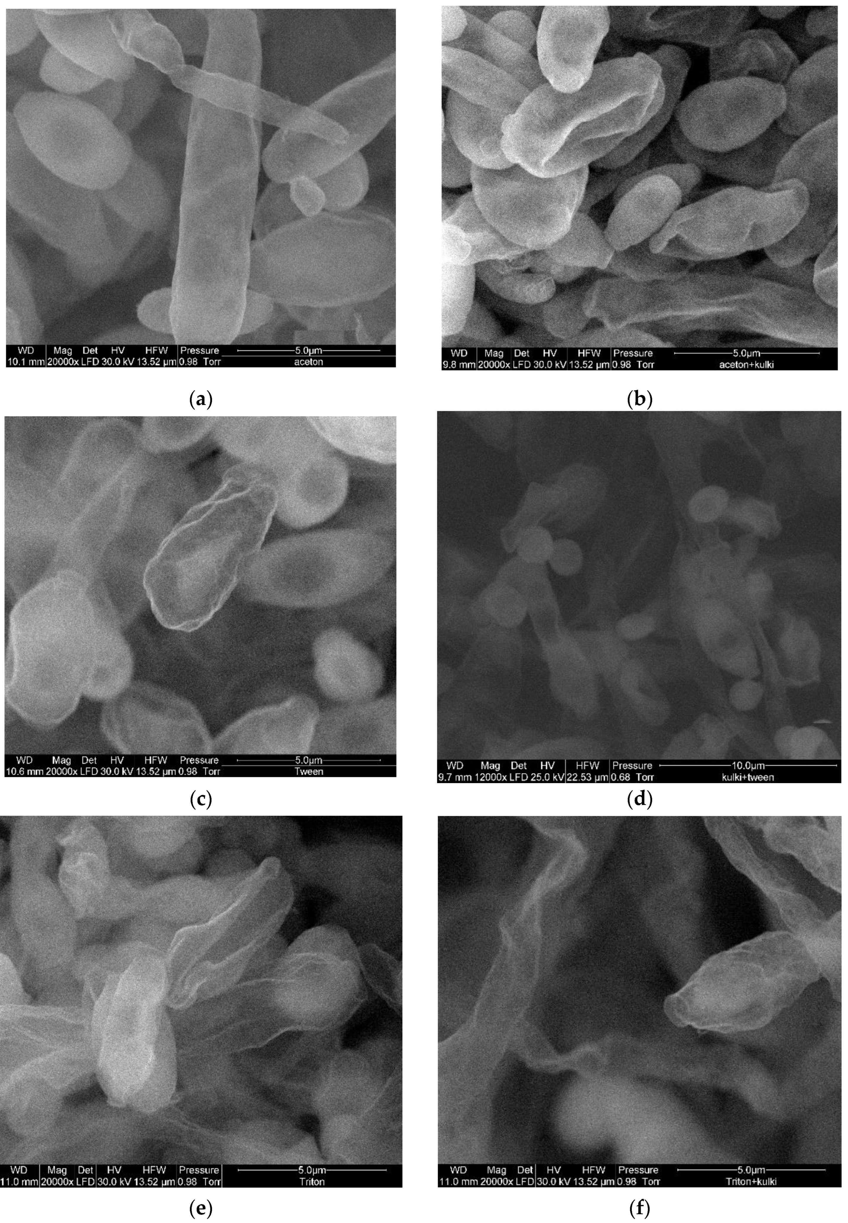 Applsci 13 13135 g008a