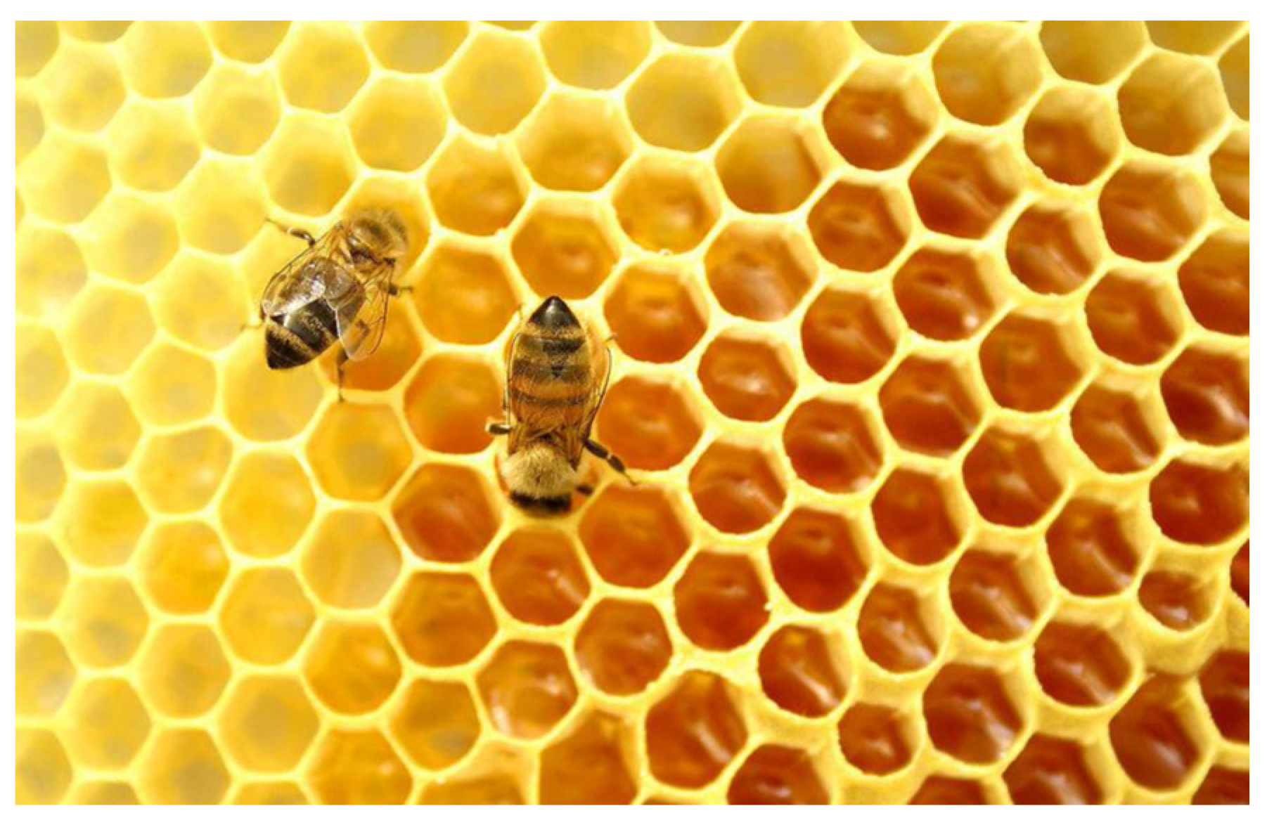 Applsci 13 13154 g001