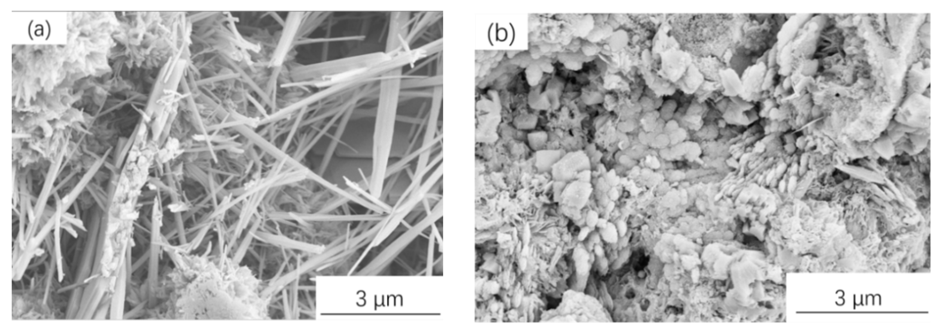 Applsci 13 13155 g007