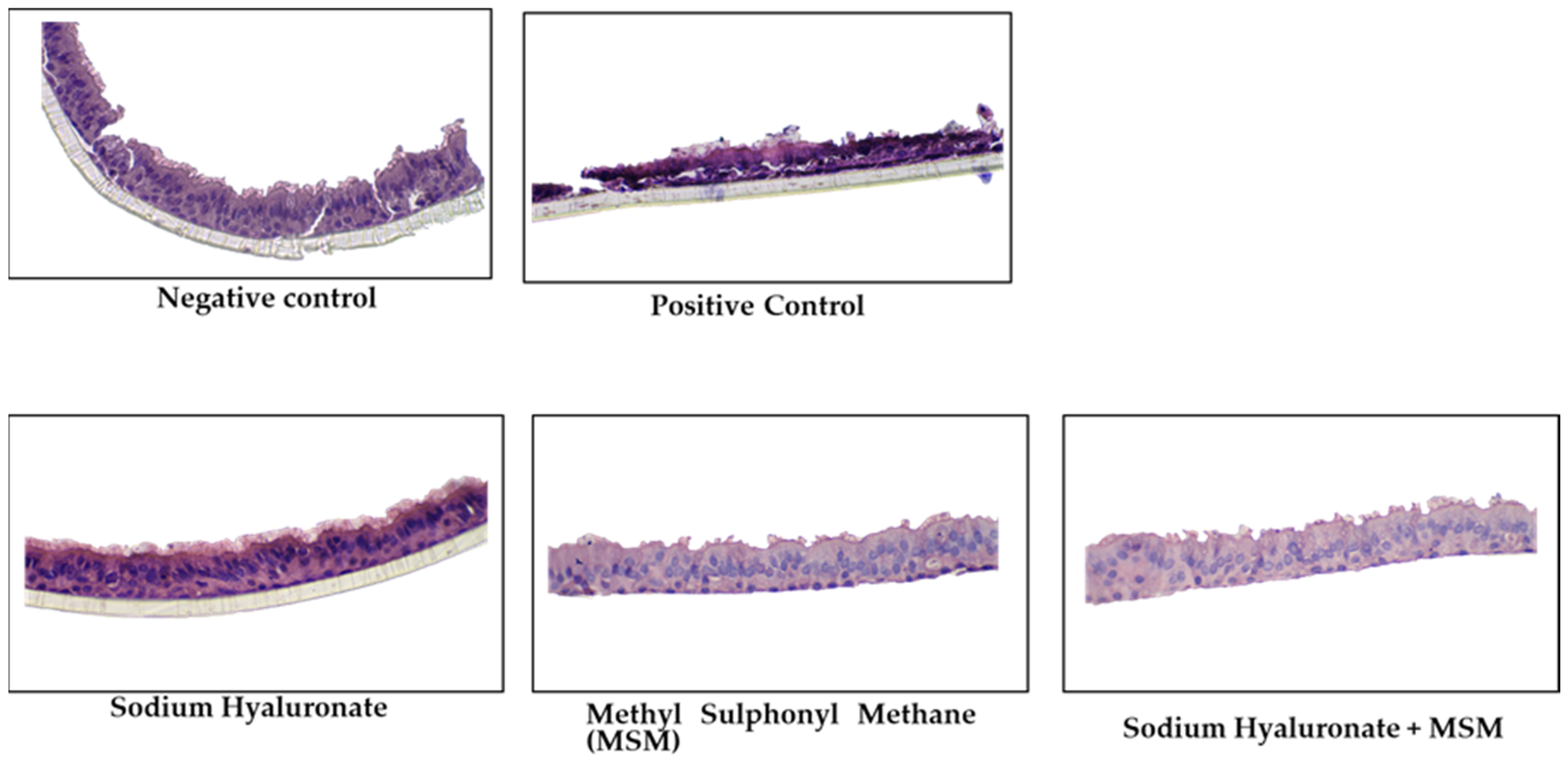 Applsci 13 13159 g006