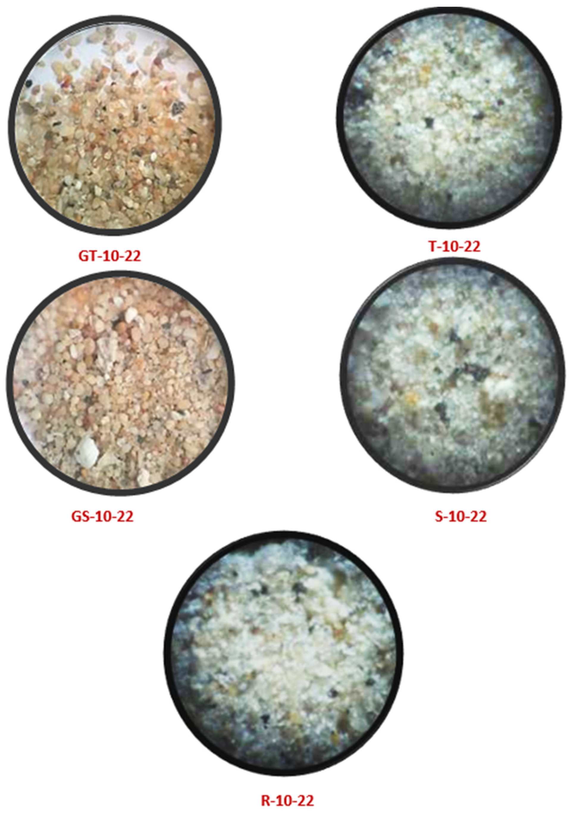 Applsci 13 13162 g001