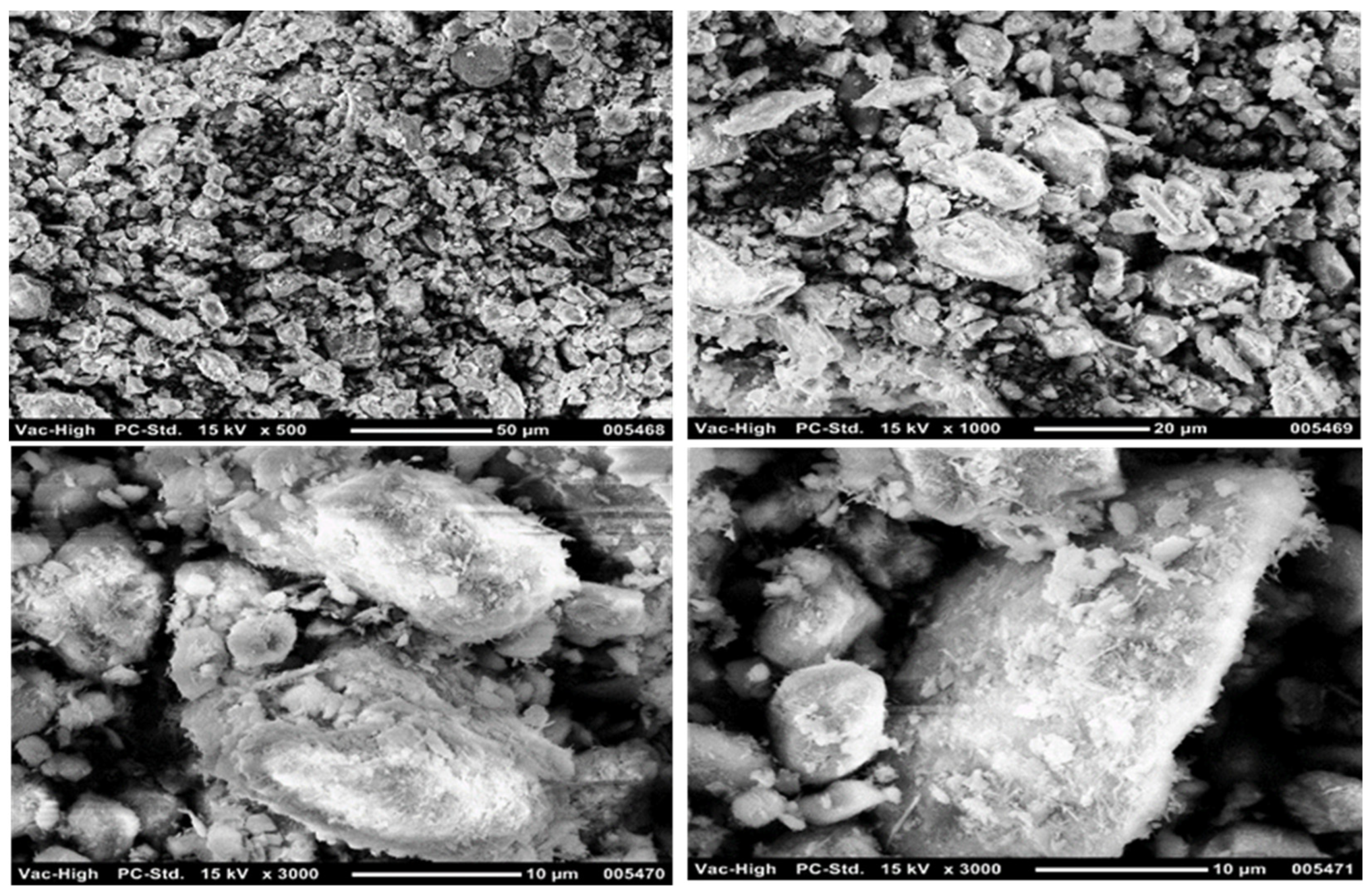 Applsci 13 13162 g005