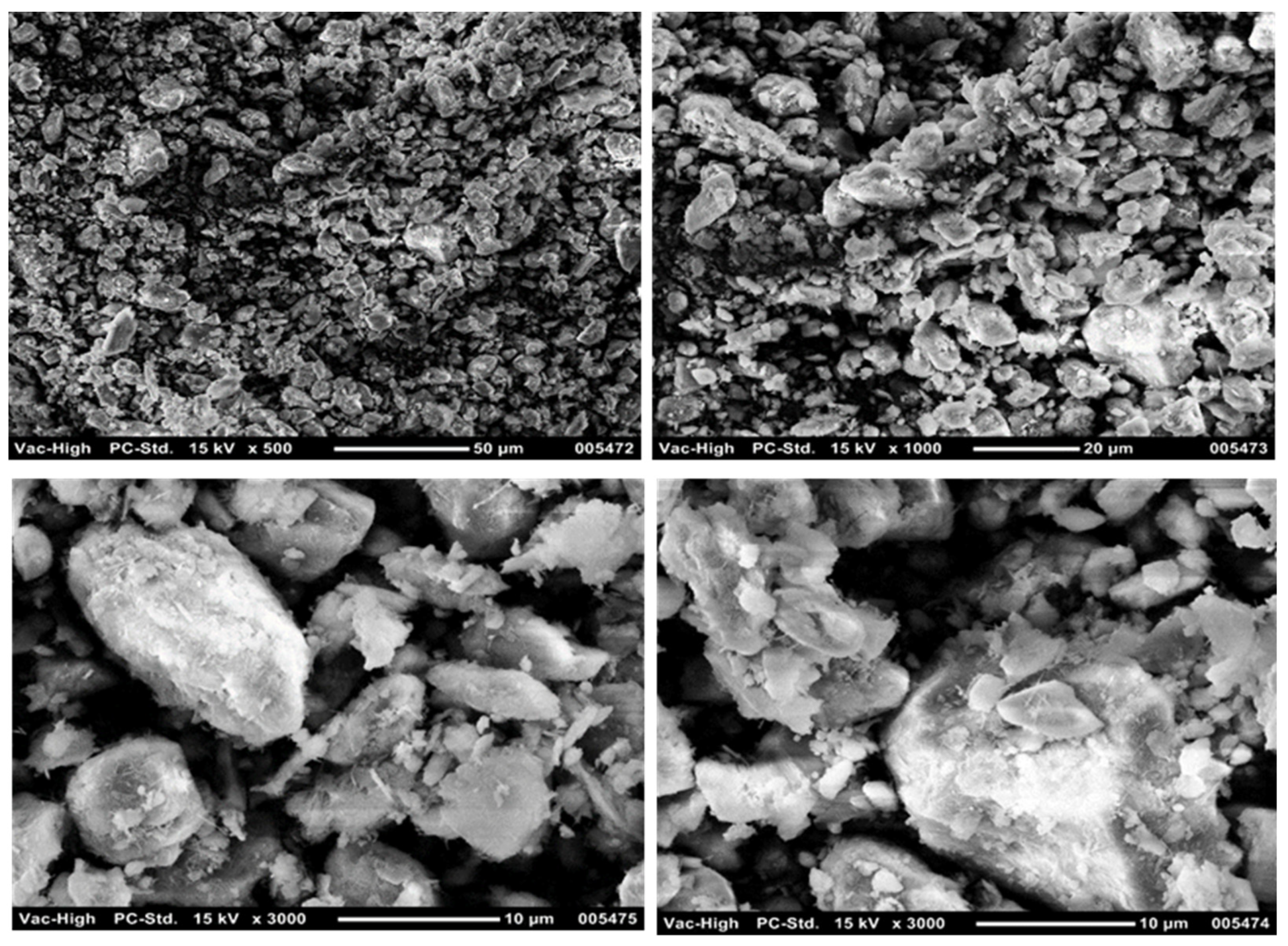 Applsci 13 13162 g006