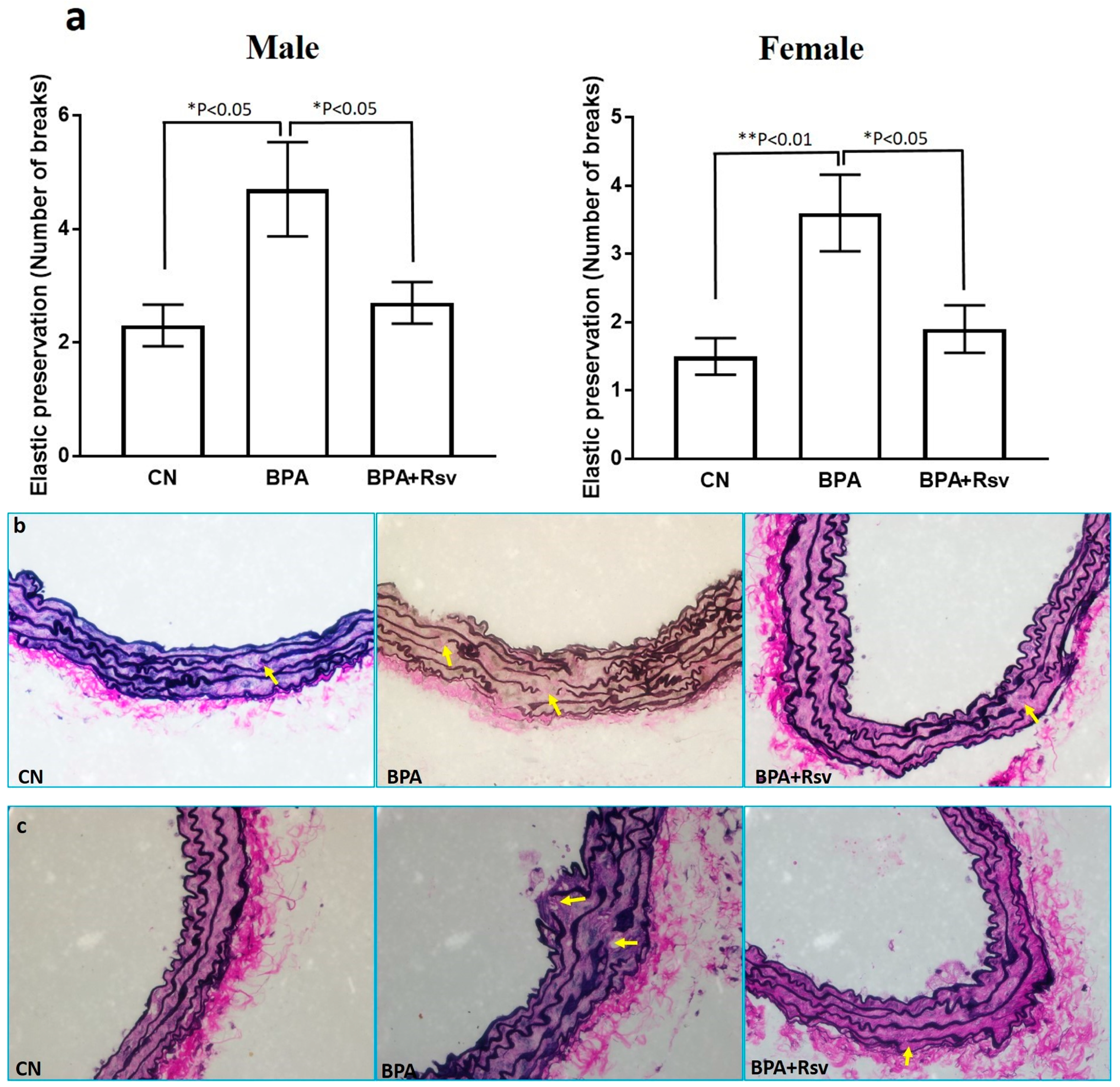 Applsci 13 13163 g003