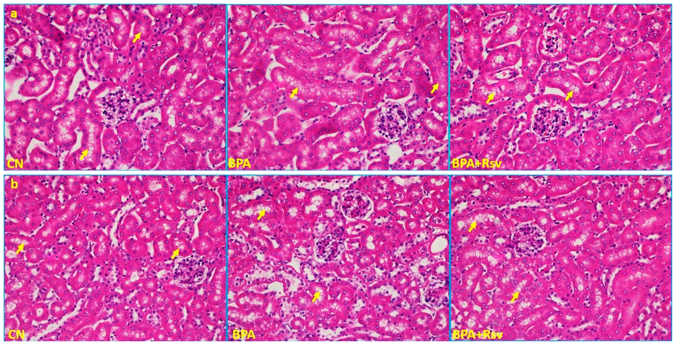 Applsci 13 13163 g007