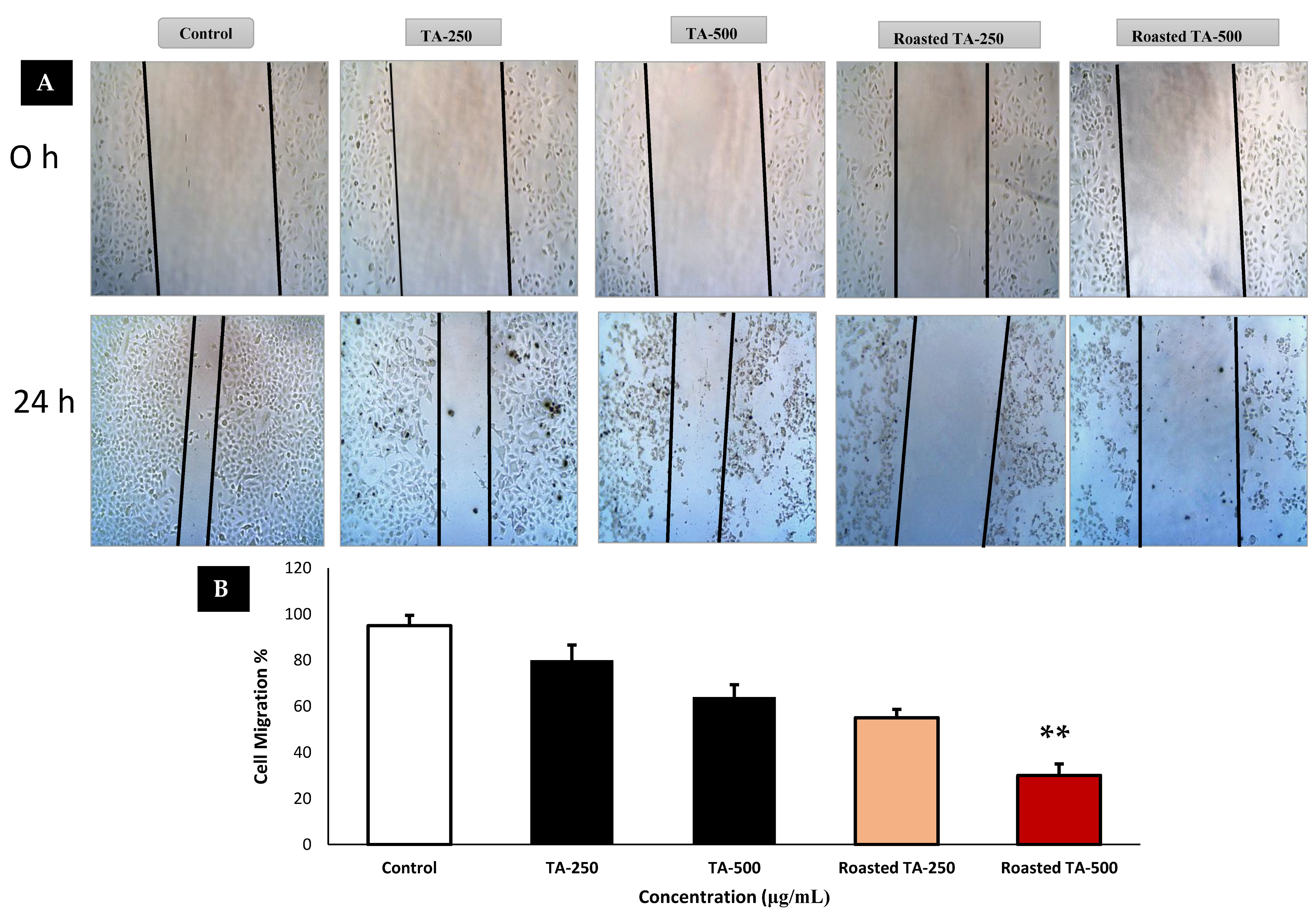 Applsci 13 13171 g005 Applsci 13 13171 g005