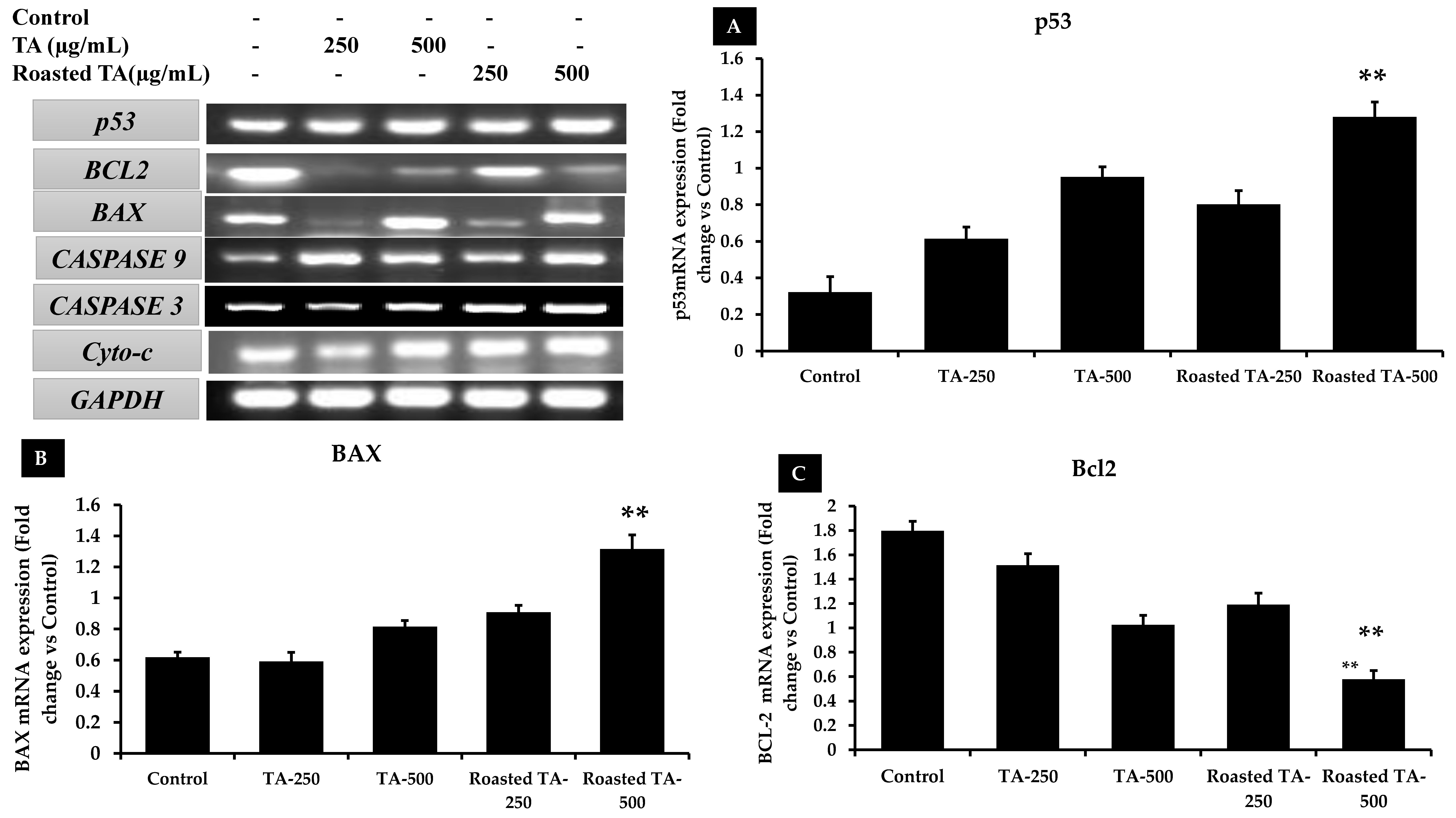 Applsci 13 13171 g007a Applsci 13 13171 g007a