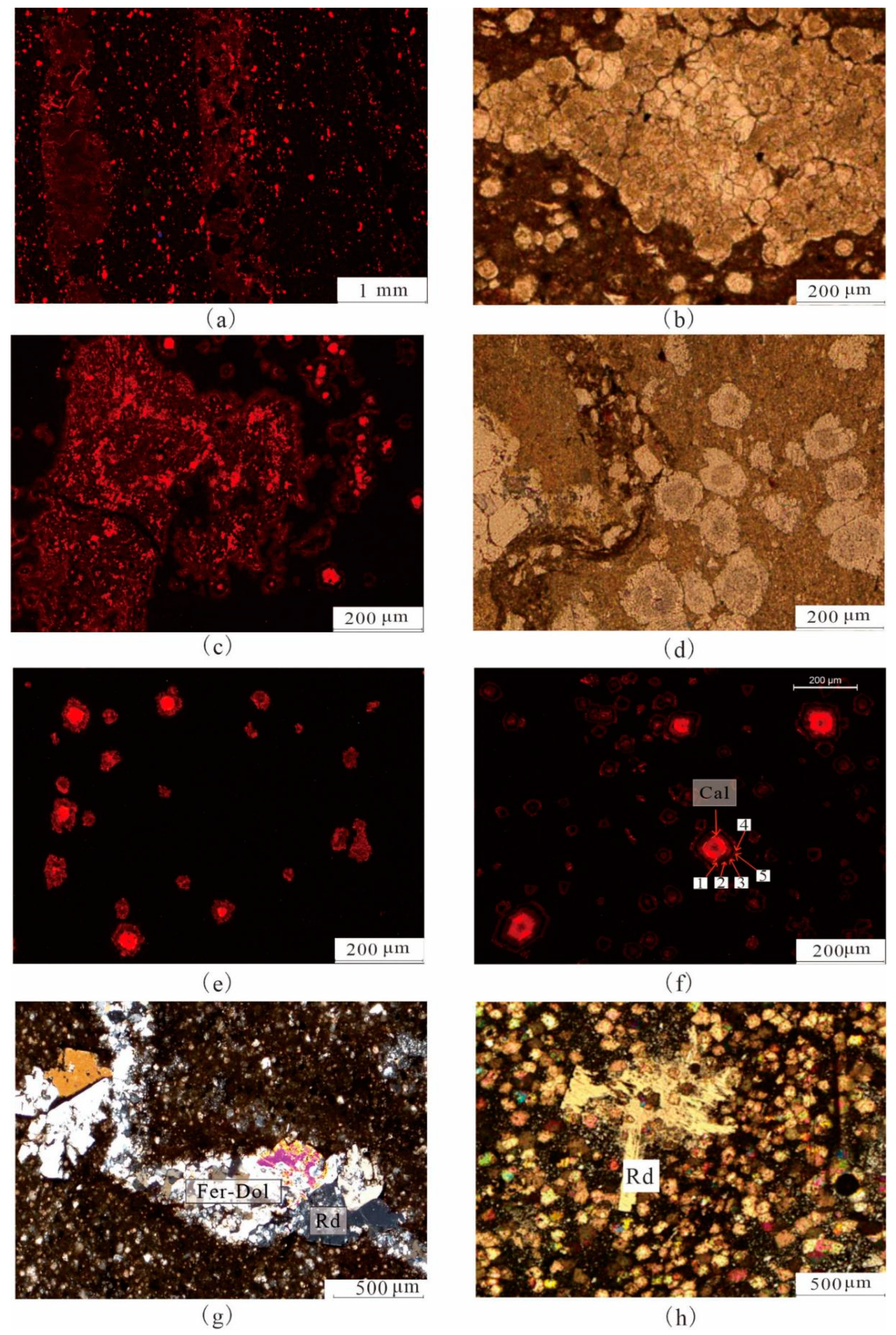 Applsci 13 13186 g003