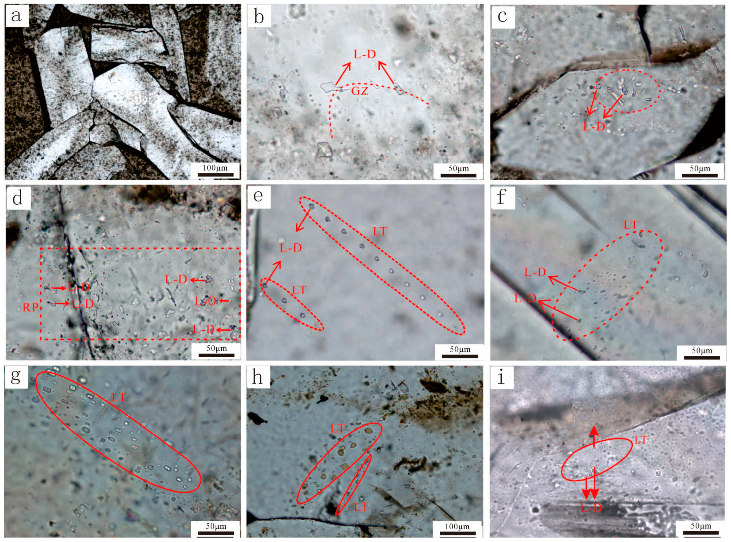 Applsci 13 13186 g006