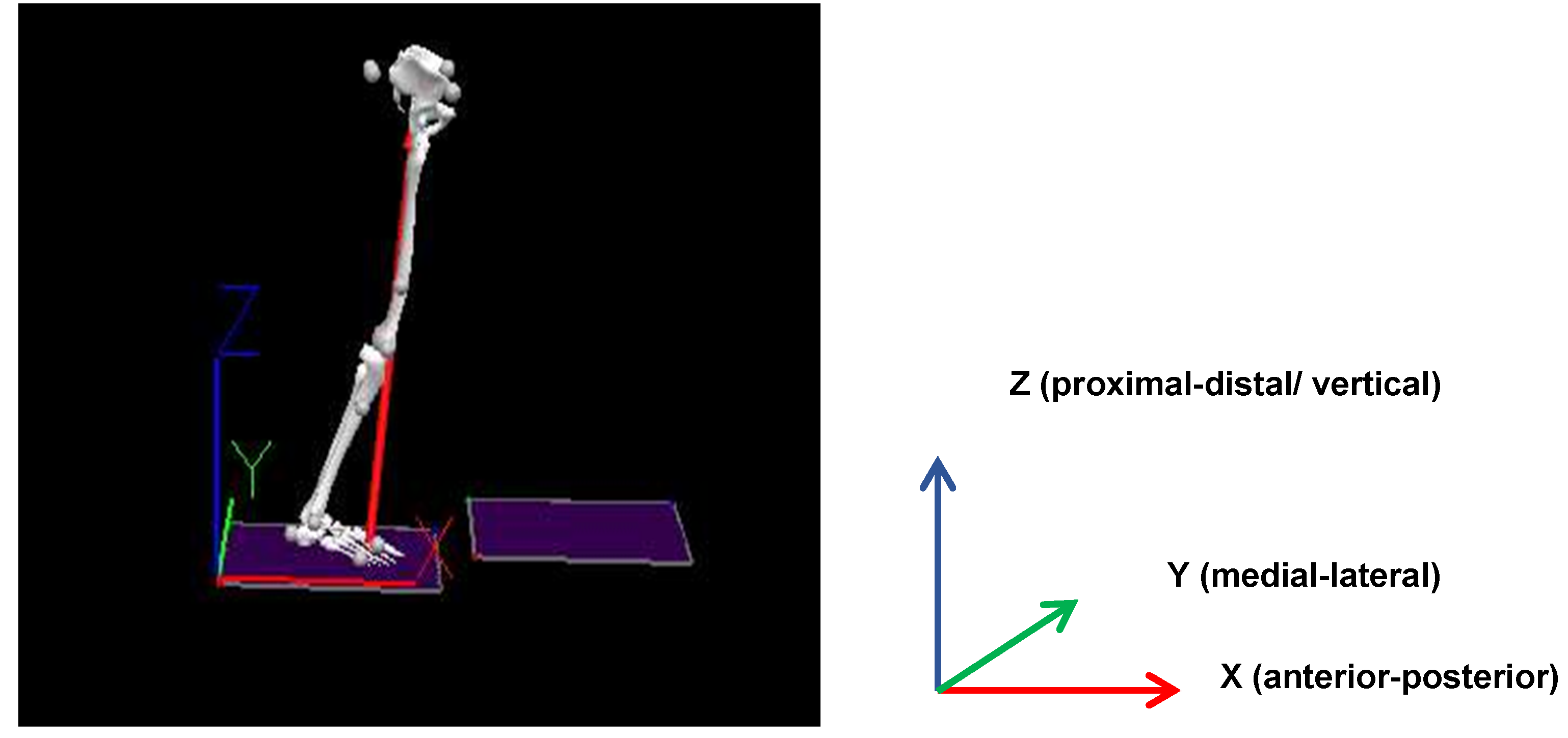 Applsci 13 13246 g004