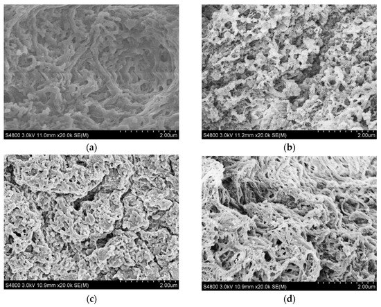 Nitrogen and Phosphorus Co-Doped Carbon Nanodots as a Novel