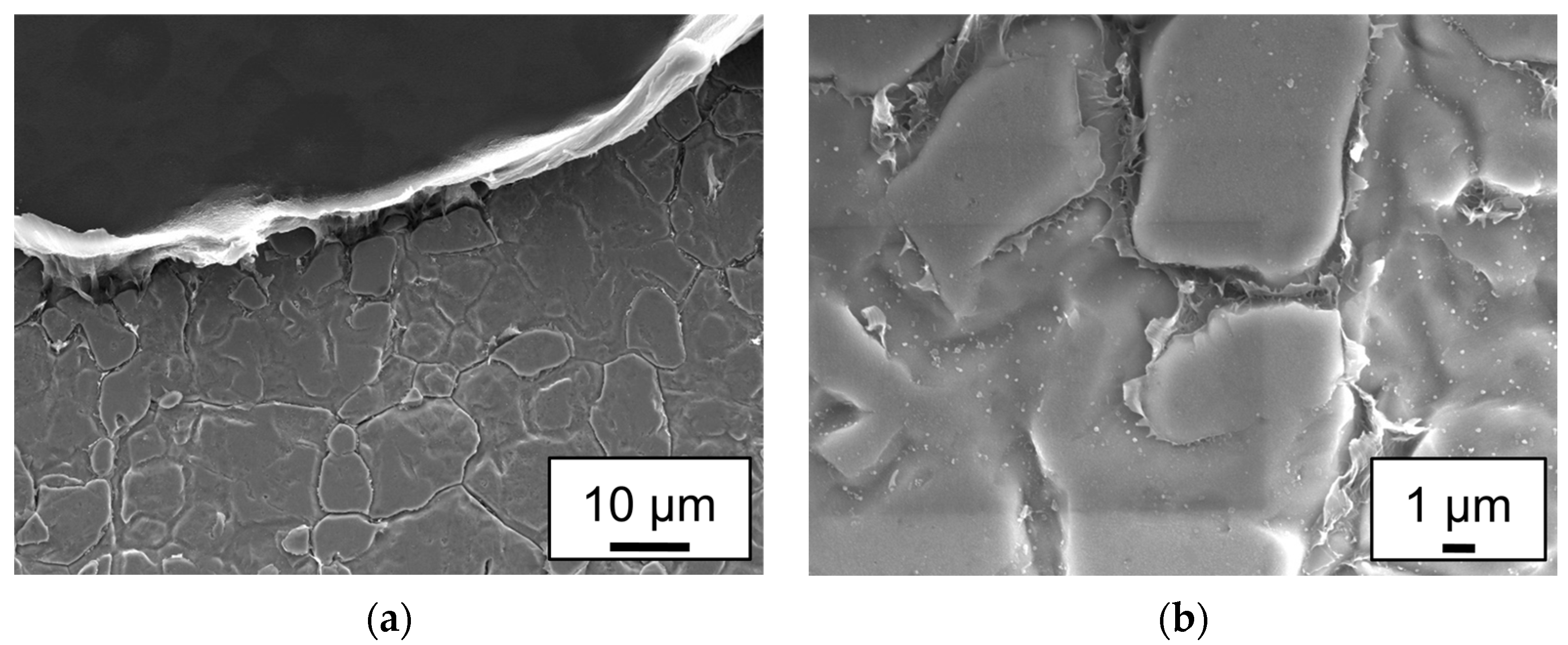 Applsci 13 13275 g011 Applsci 13 13275 g011